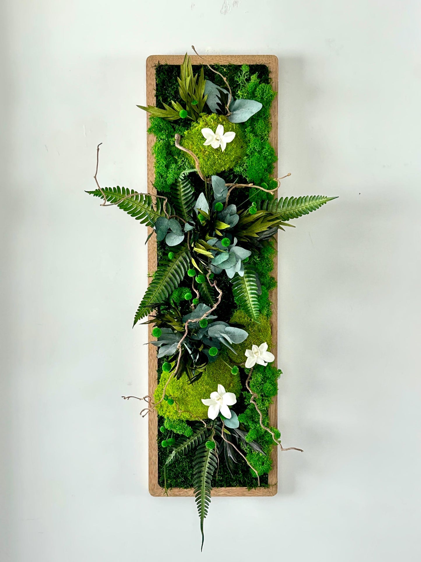 Tableau végétal stabilisé “Calista”