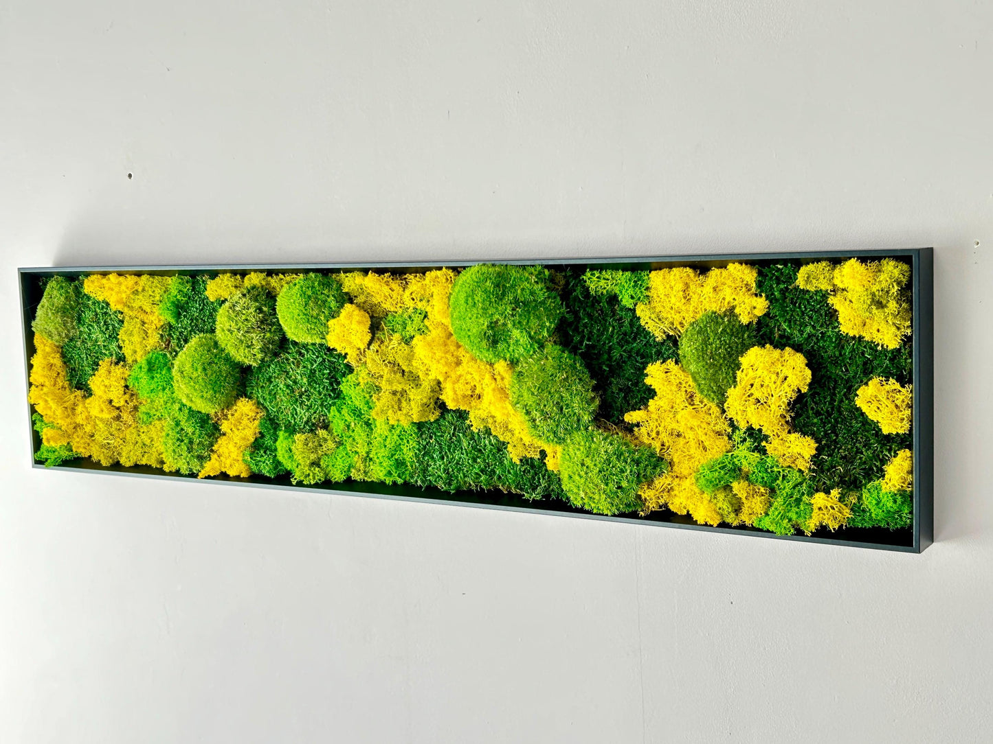 Tableau végétal stabilisé « Terra Nova »