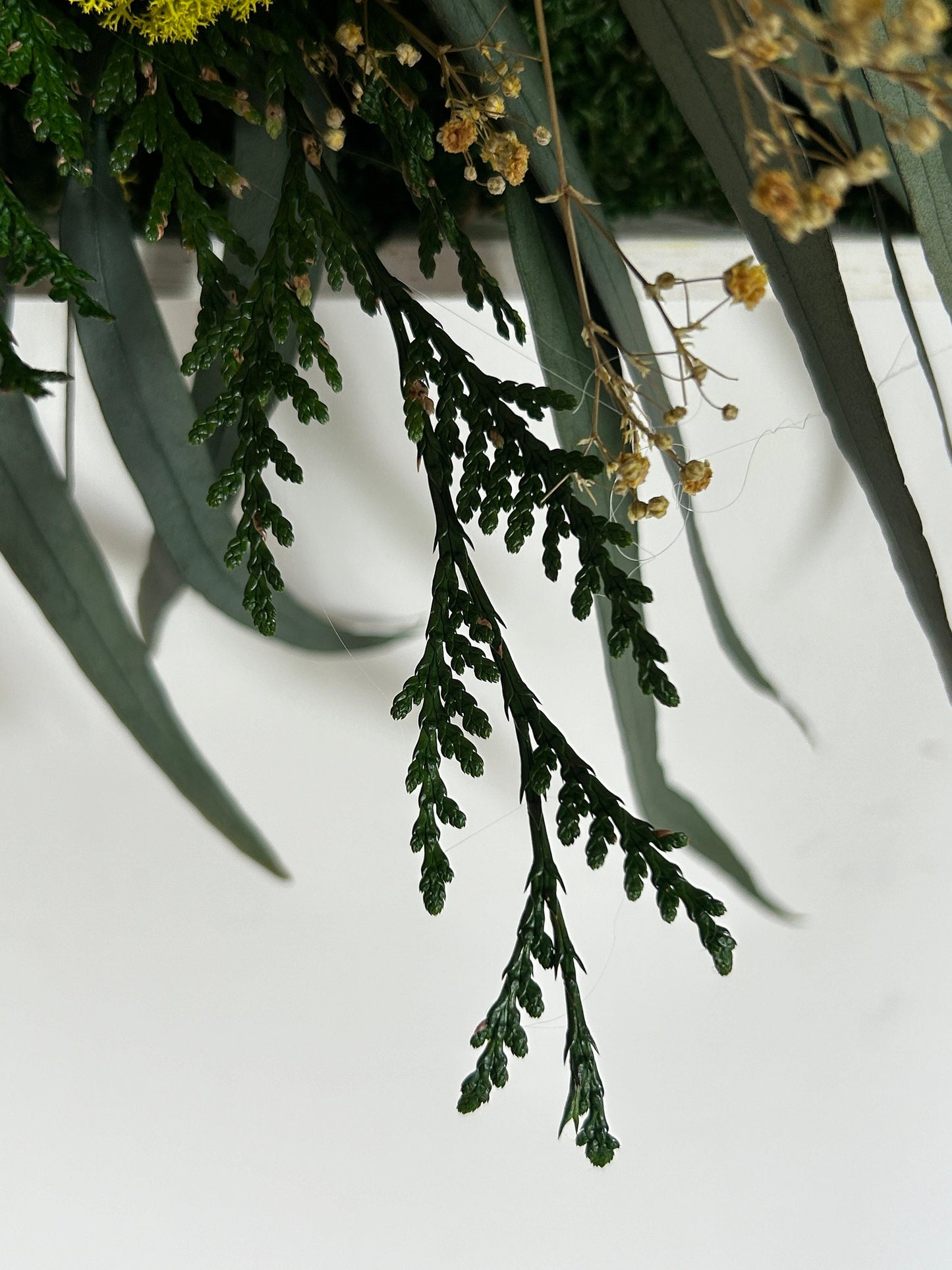 Panneau végétal stabilisé panoramique “Horizon”