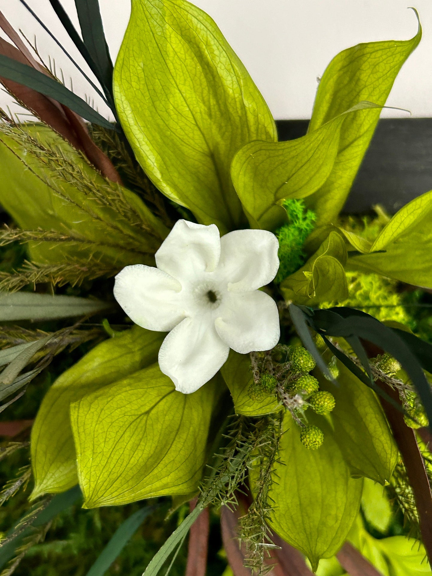 Tableau végétal stabilisé "Jungle"