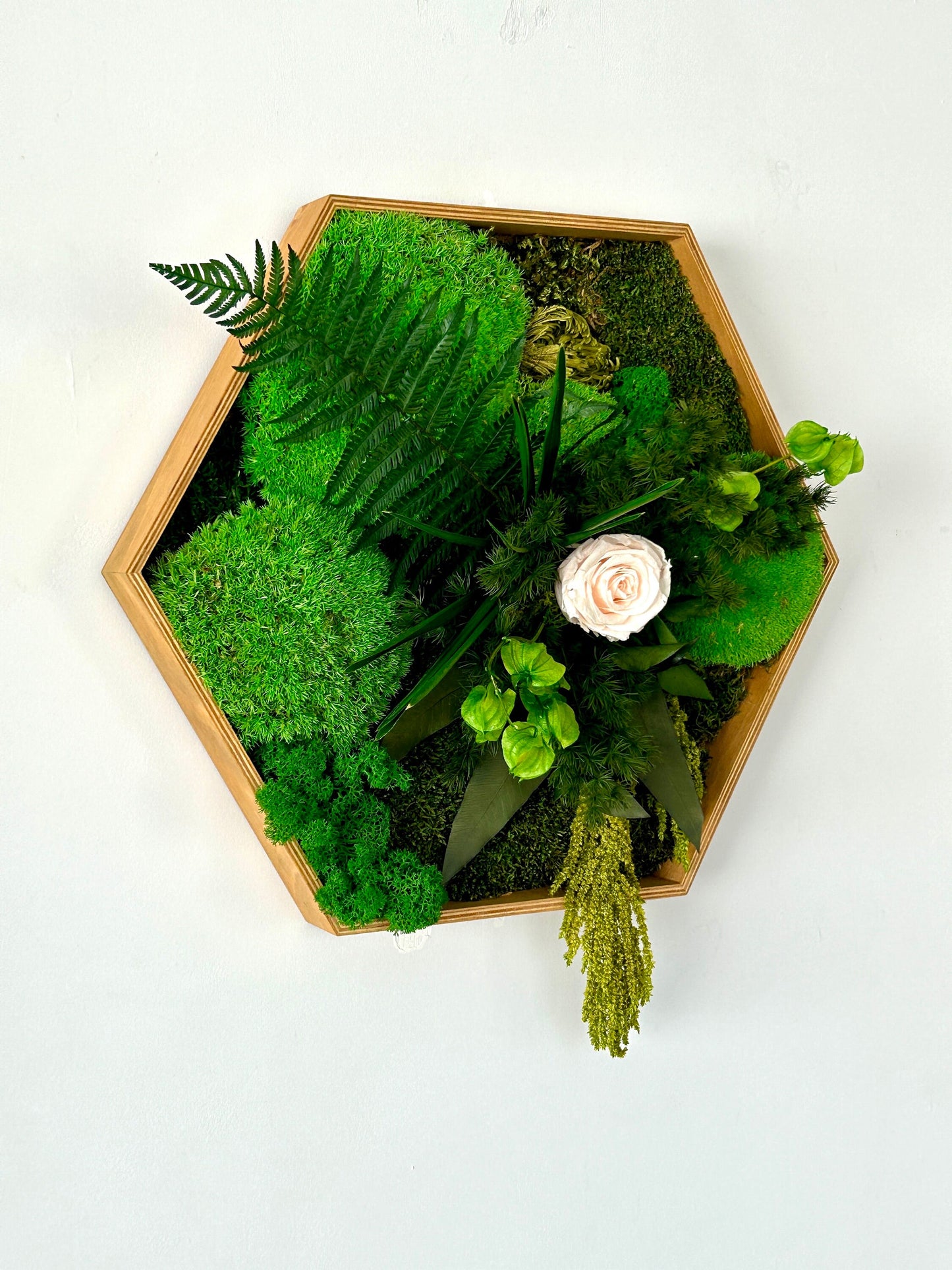 Cadre végétal stabilisé hexagonal « Isola »