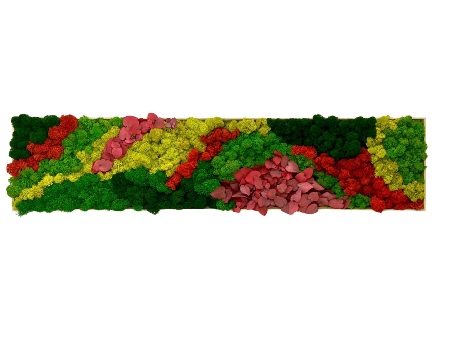 Tableau végétal stabilisé «Coralia»