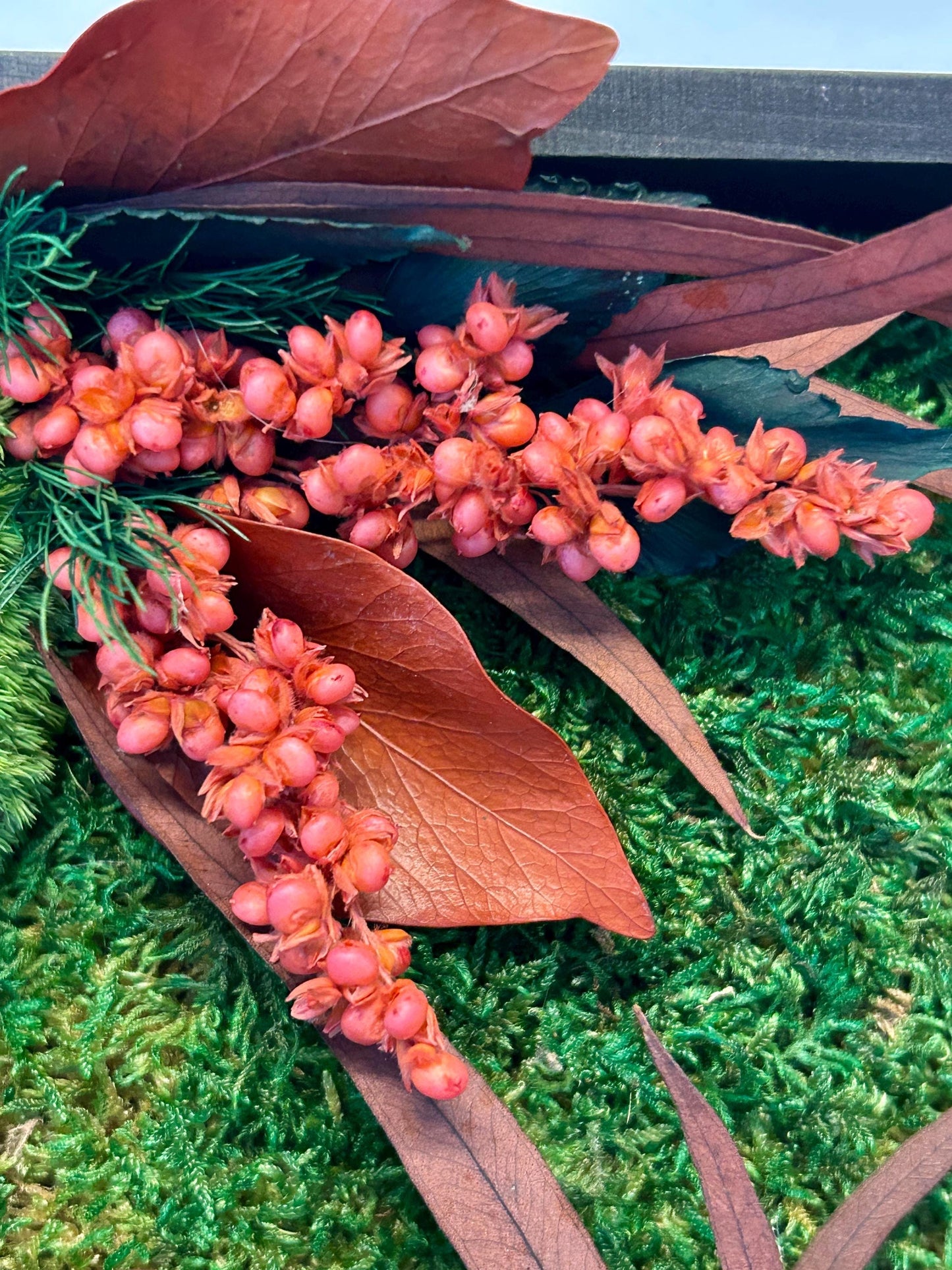 Tableau végétal stabilisé “Corail”