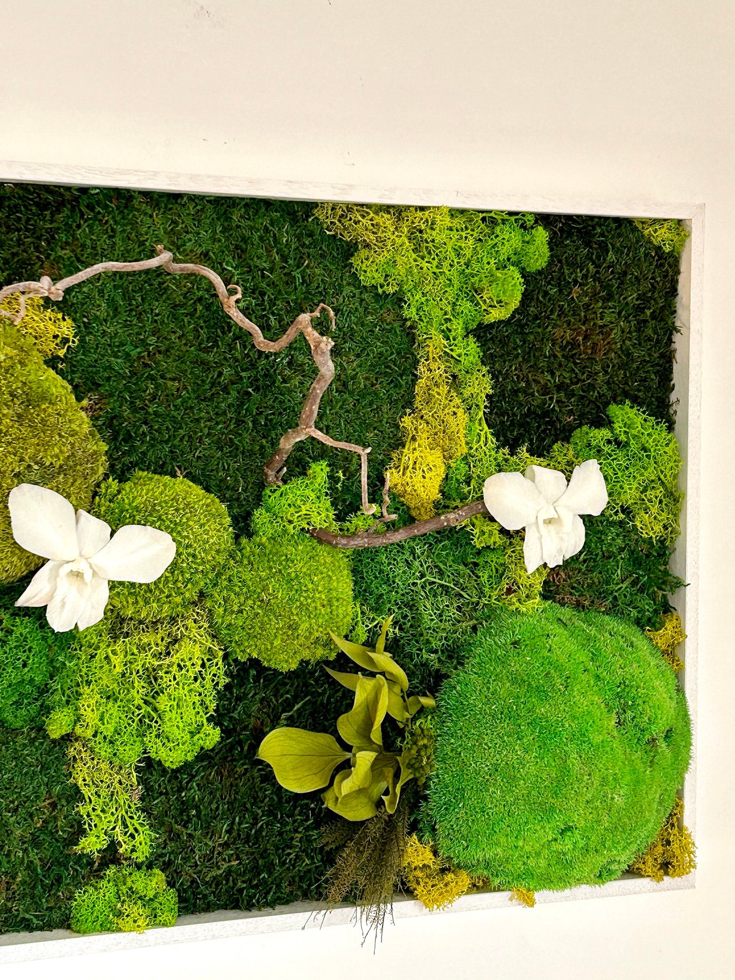 Panneau végétal stabilisé «Eden» avec orchidées blanches