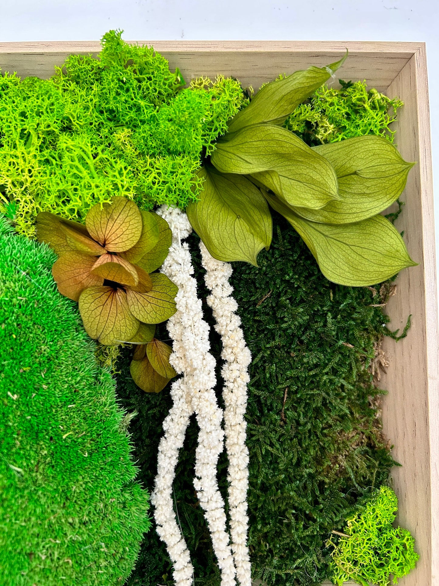 Tableau végétal stabilisé “Sylve”