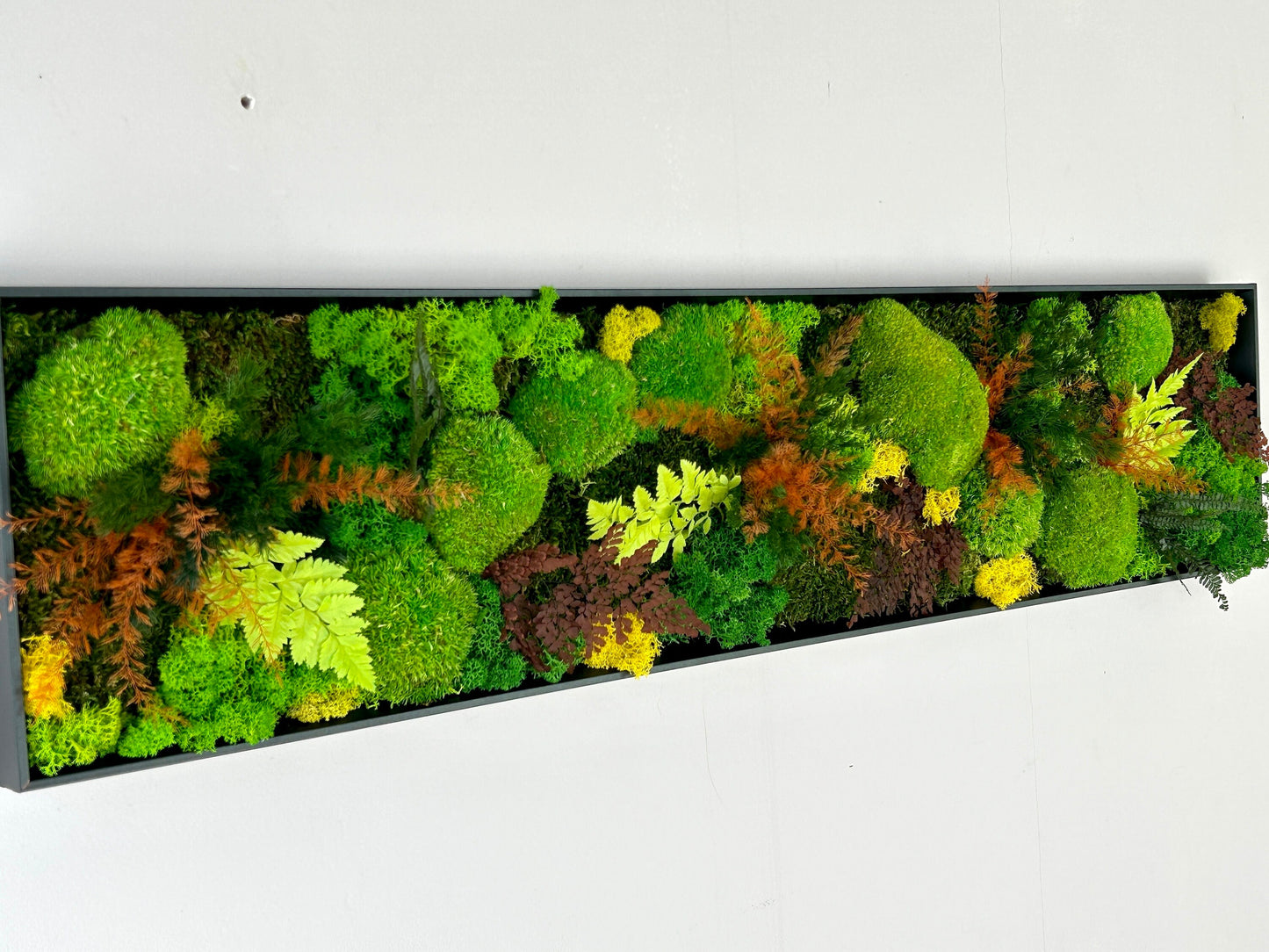 Tableau végétal stabilisé panoramique « Aria »