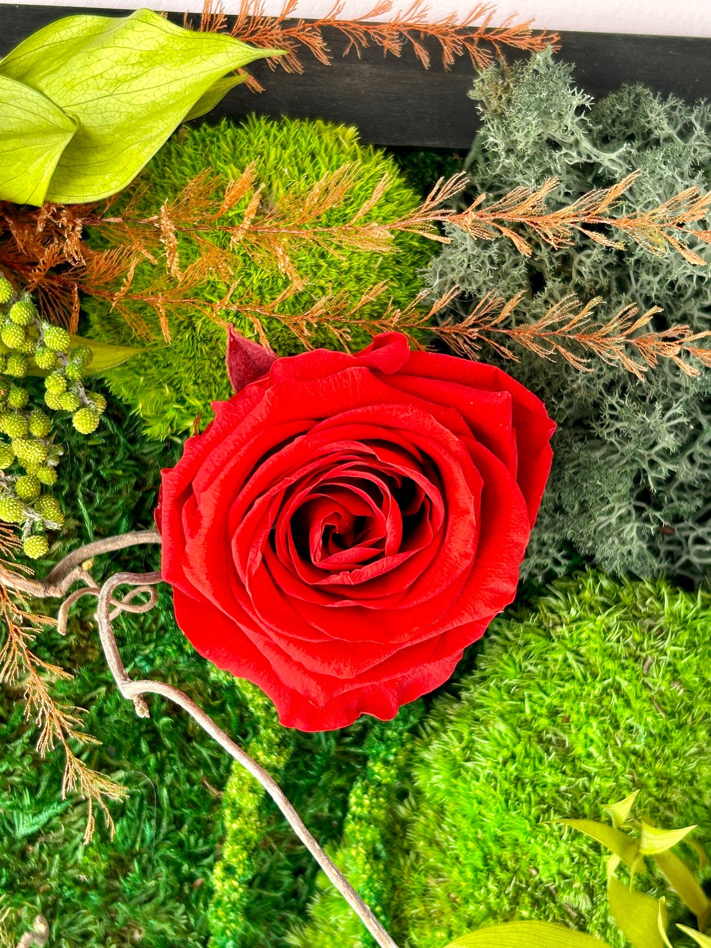 Tableau végétal stabilisé “Rosalia”