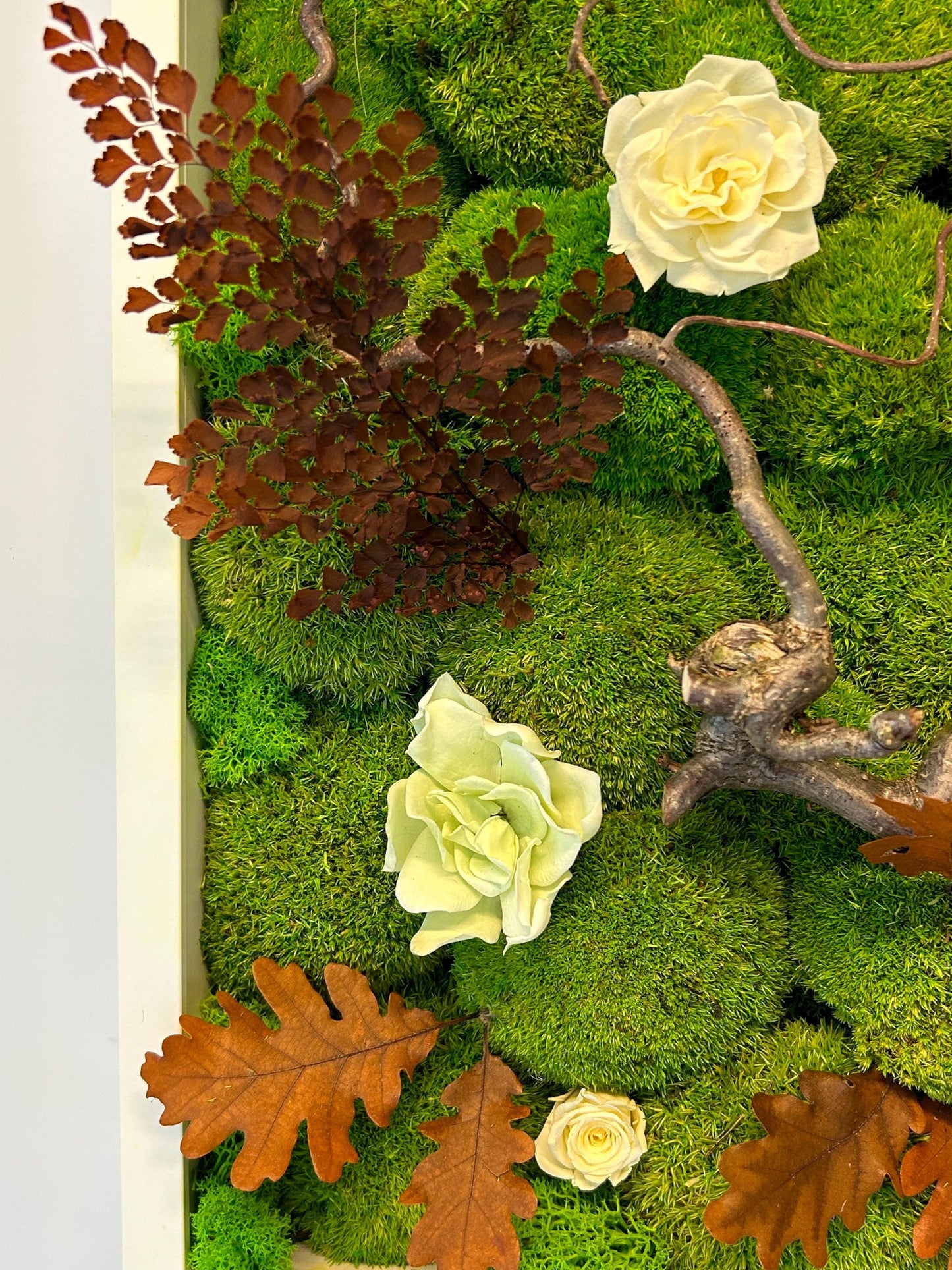 Tableau végétal stabilisé carré “Floraison ivoire”