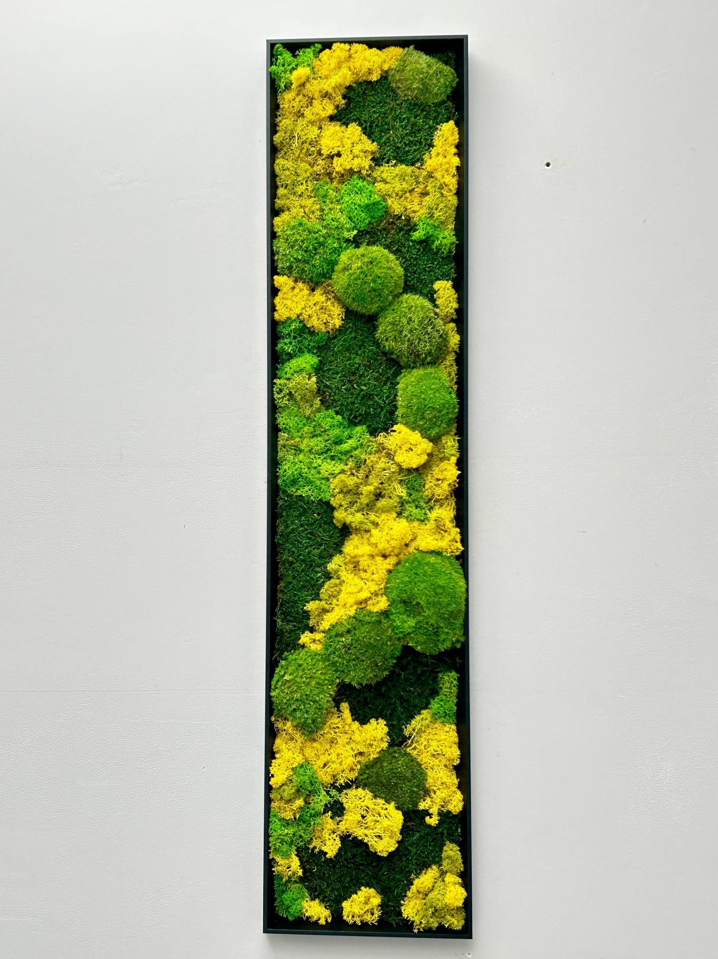 Tableau végétal stabilisé « Terra Nova »