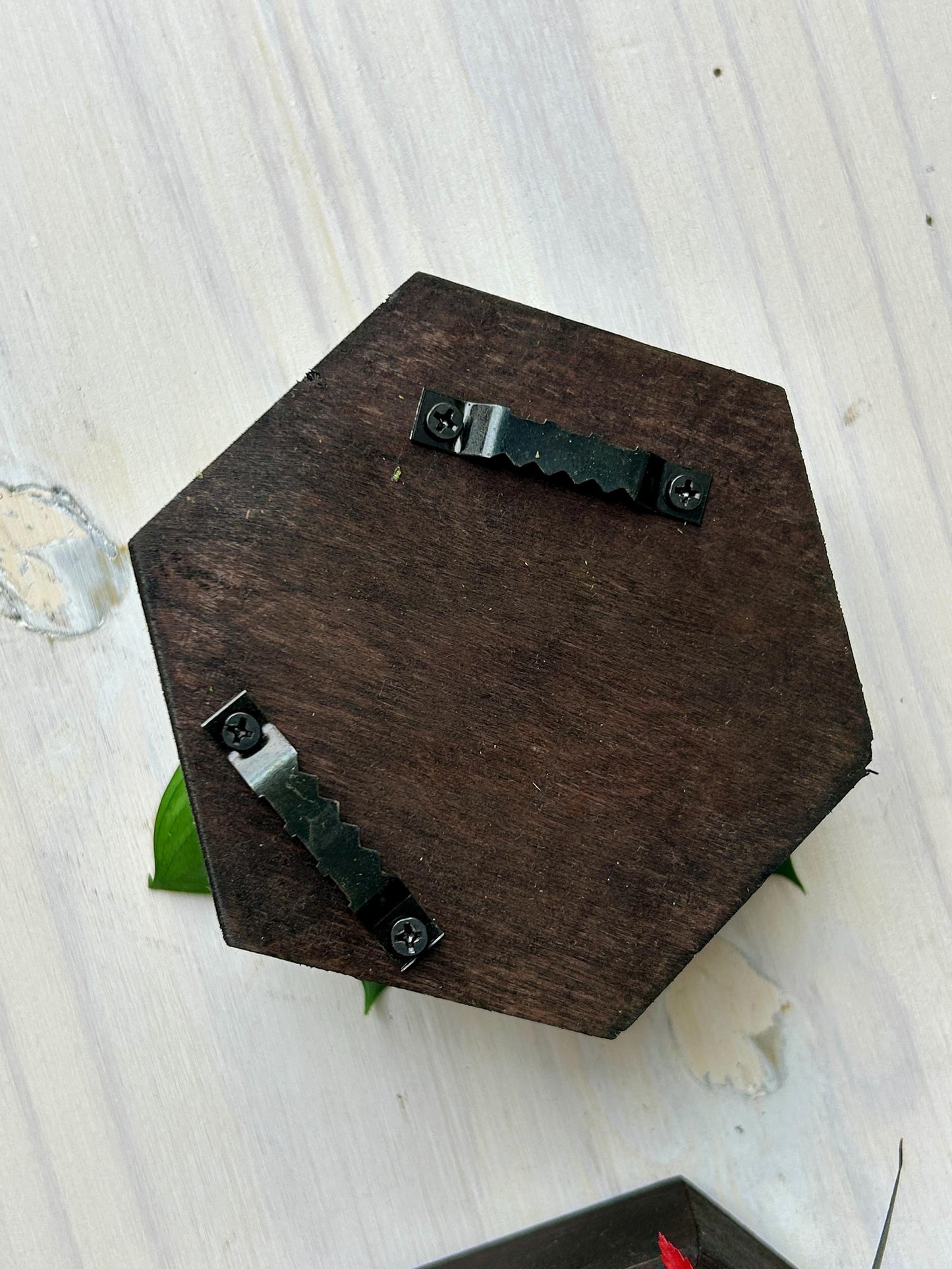 Ensemble de 4 cadres végétaux stabilisés – “Jeu de formes”