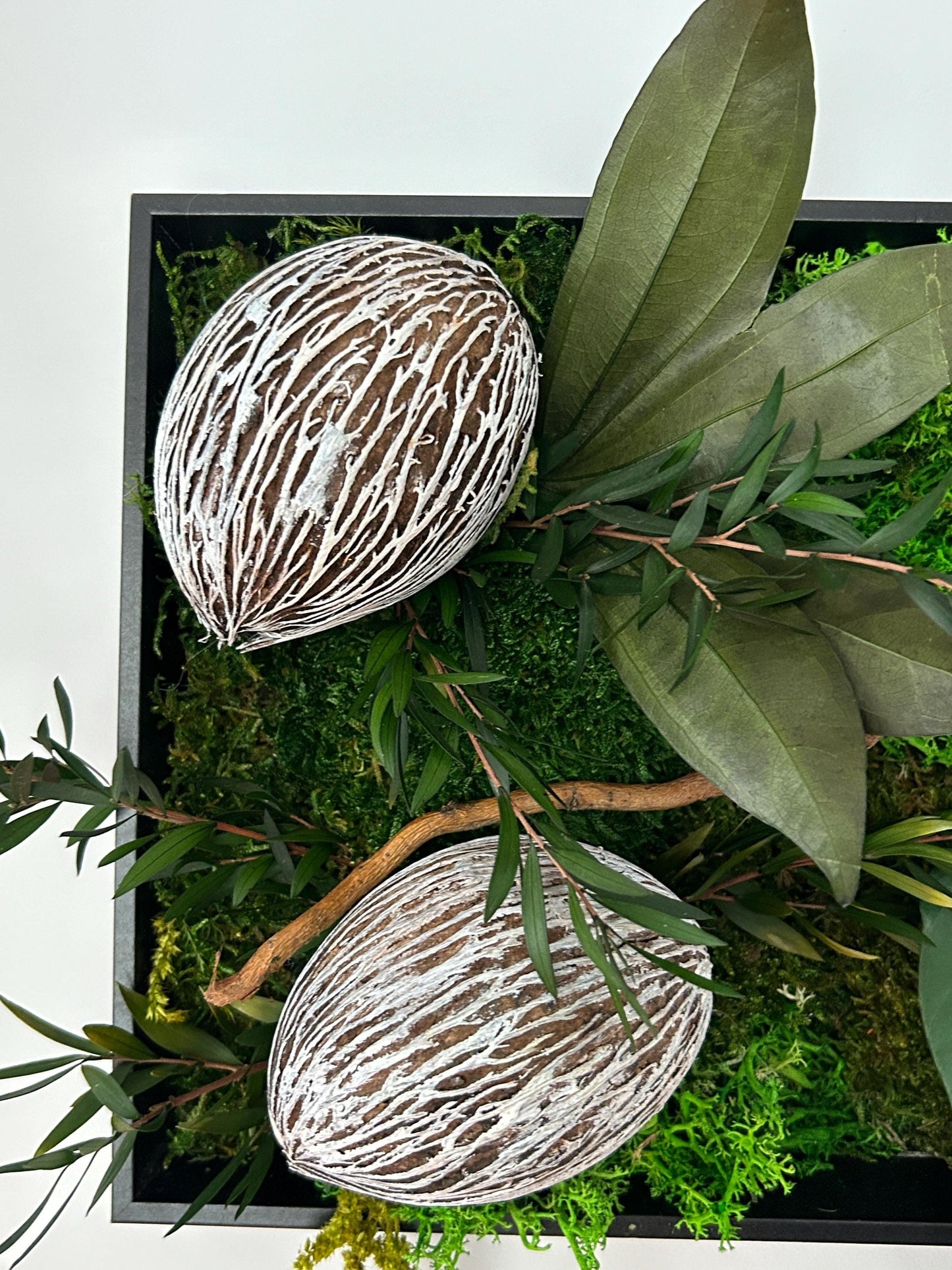 Tableau végétal stabilisé “Amazonia”