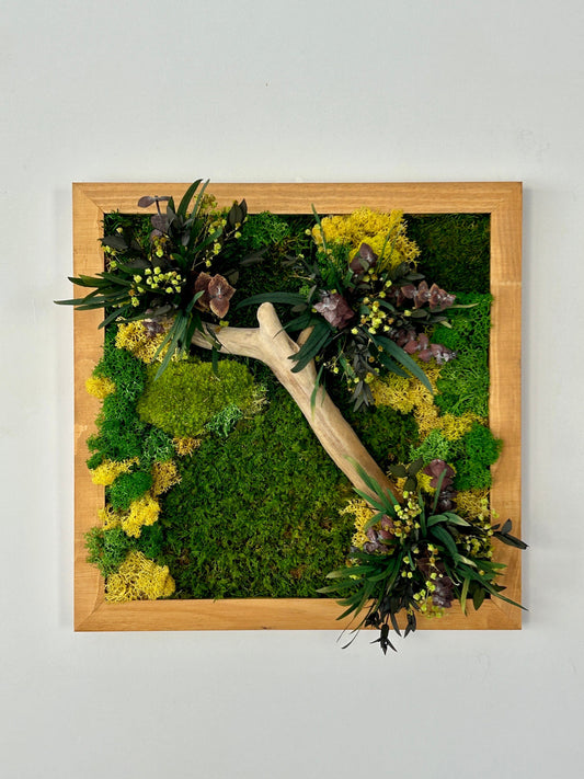 Cadre végétal stabilisé carré « Néo »