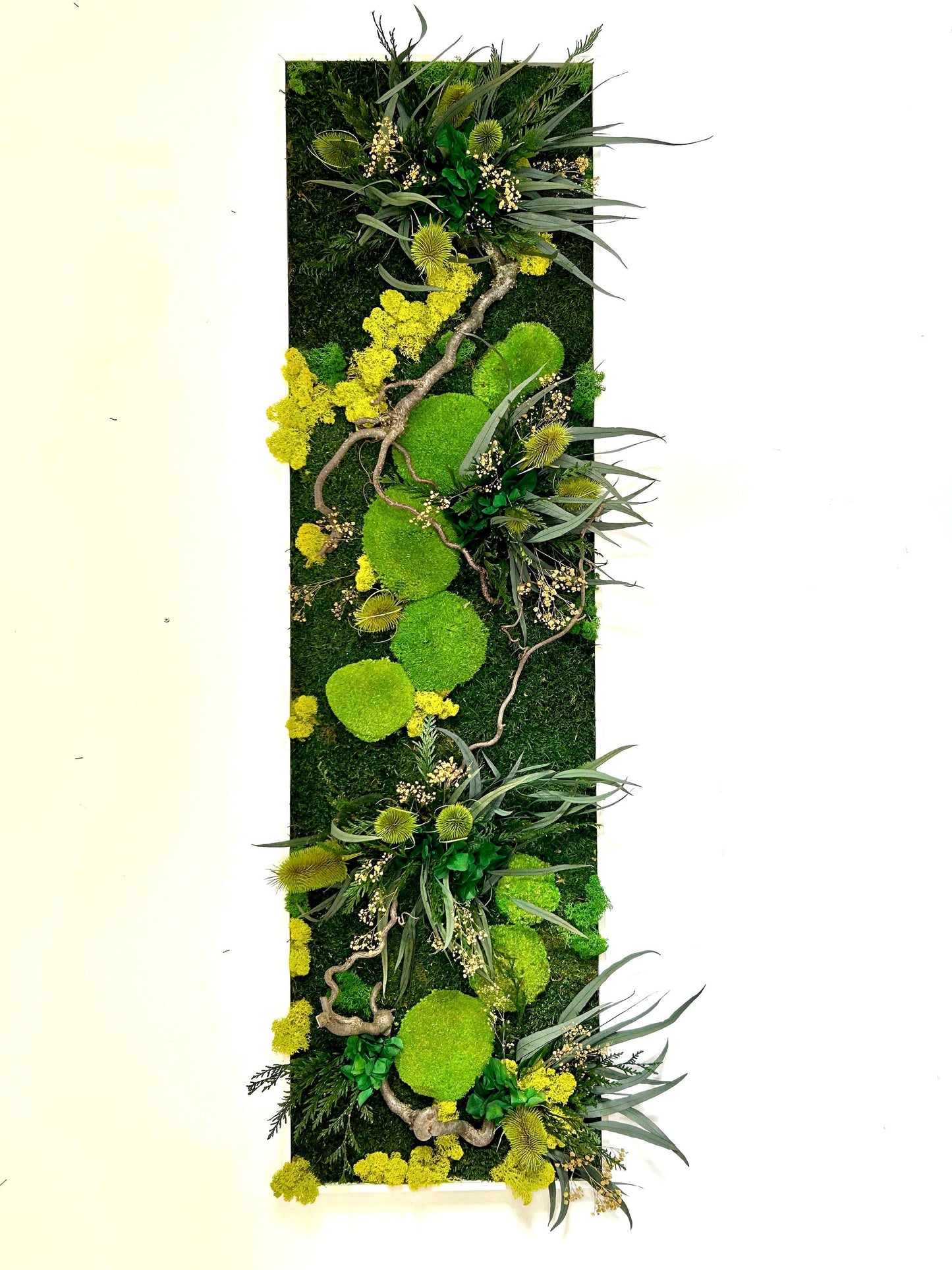 Panneau végétal stabilisé panoramique “Horizon”