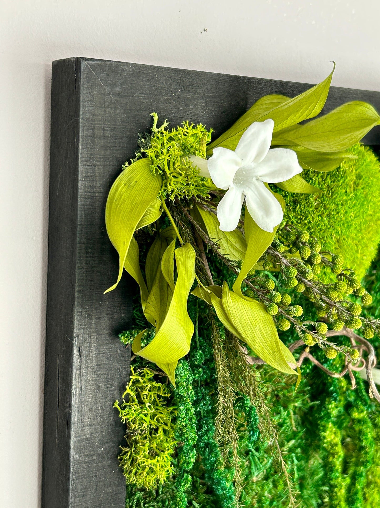 Tableau végétal stabilisé "Jasmin"