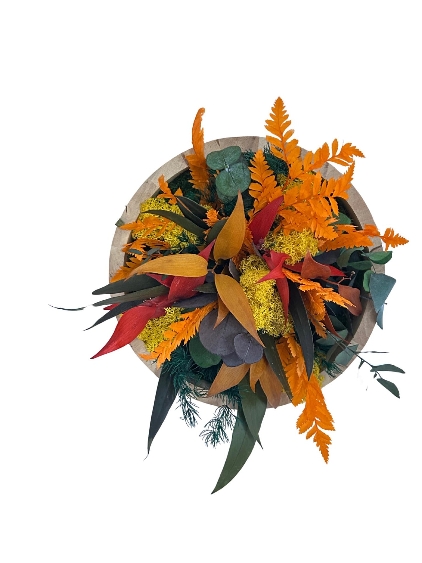 Duo de cadres végétaux stabilisés « Solana »