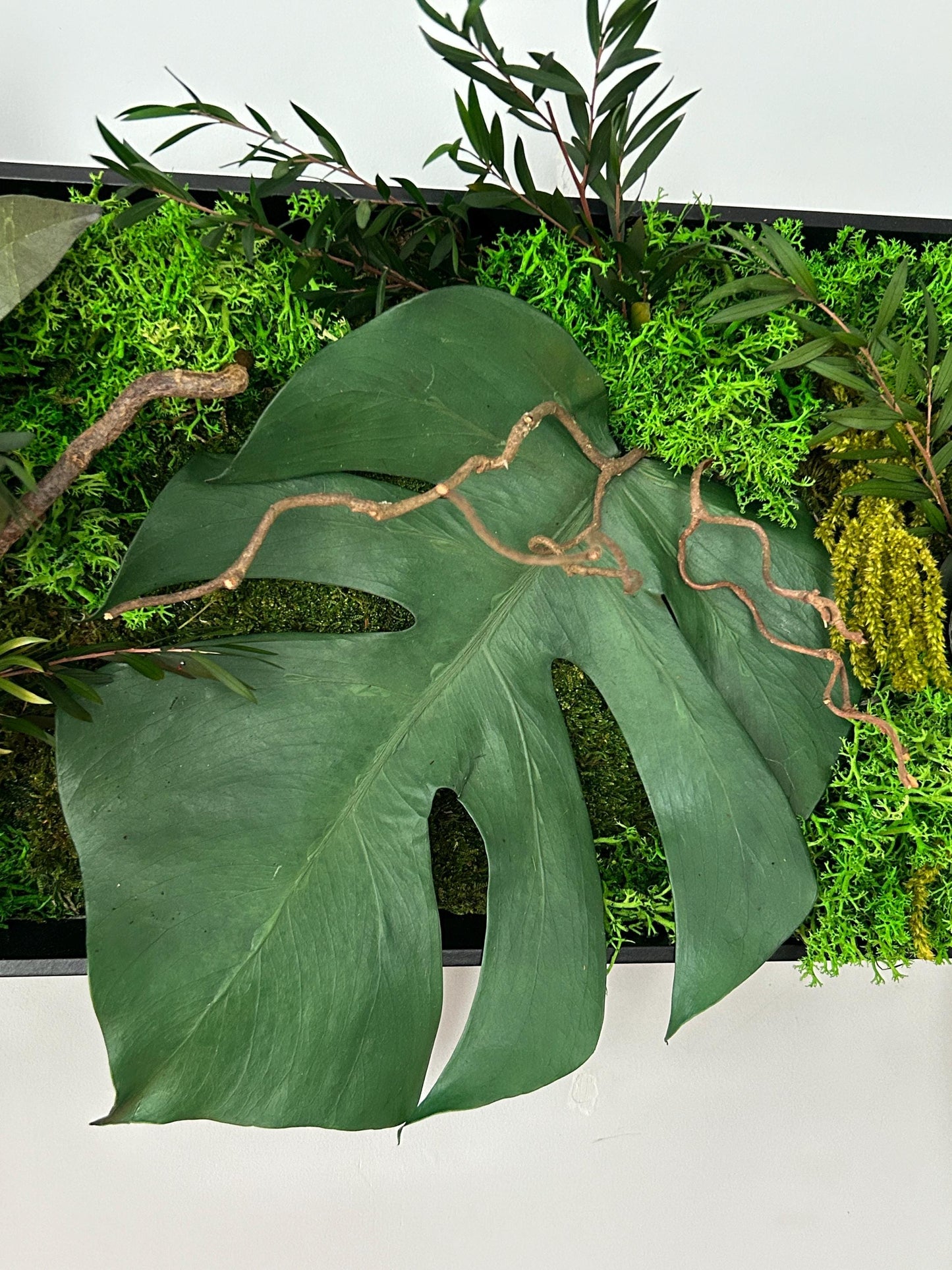 Tableau végétal stabilisé “Amazonia”