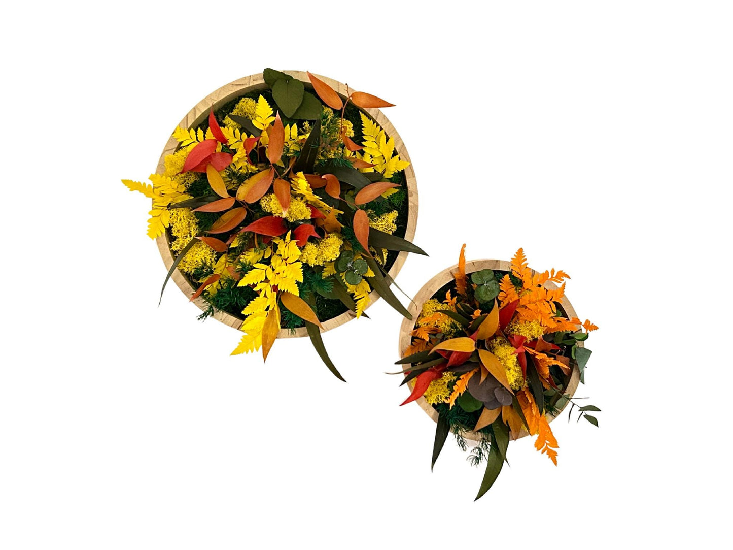 Duo de cadres végétaux stabilisés « Solana »