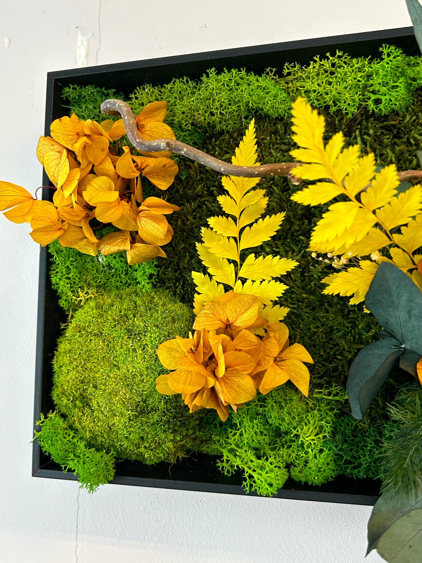 Tableau végétal stabilisé “Éclat Solaire”