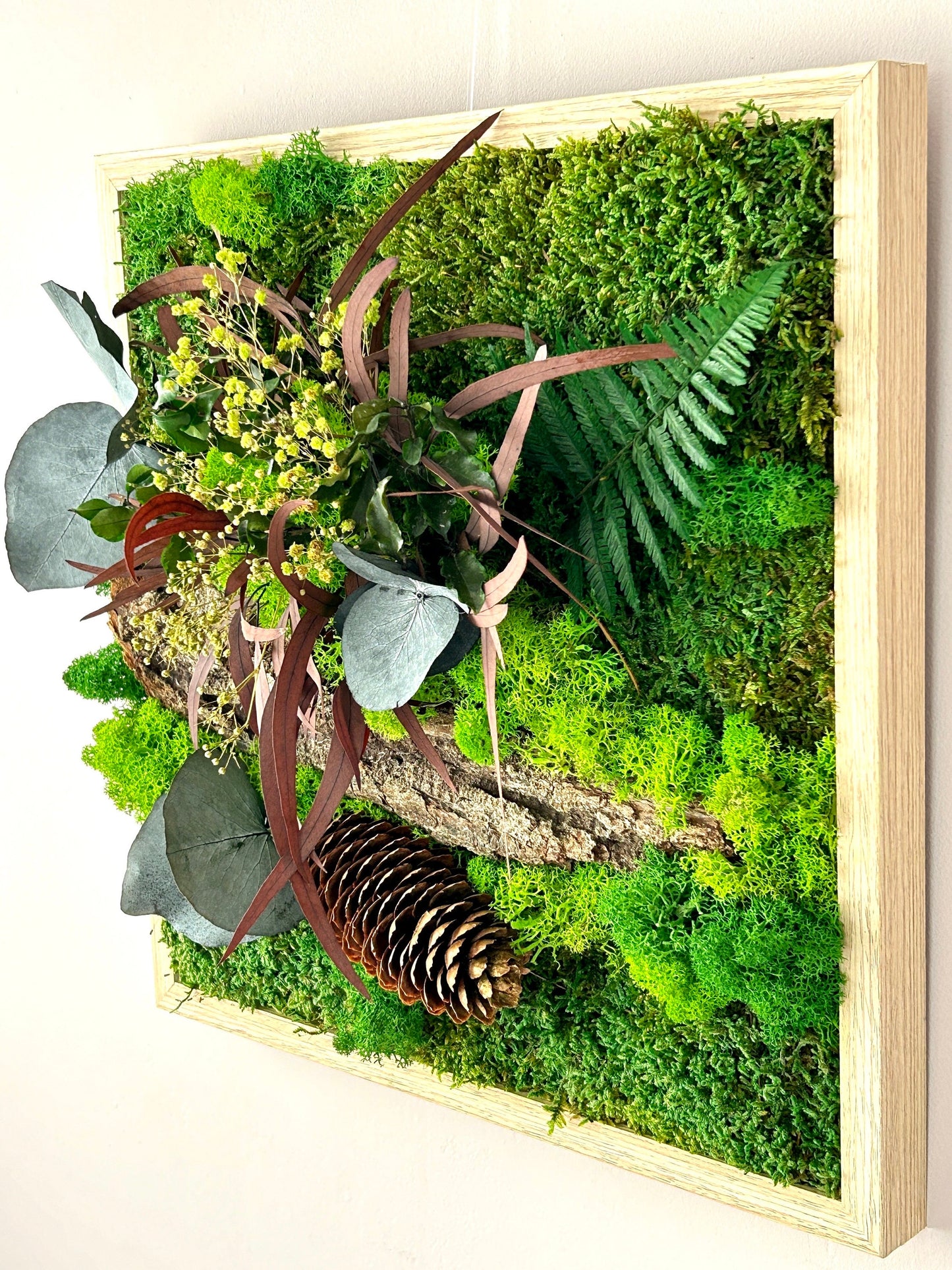 Cadre végétal stabilisé “Forêt”