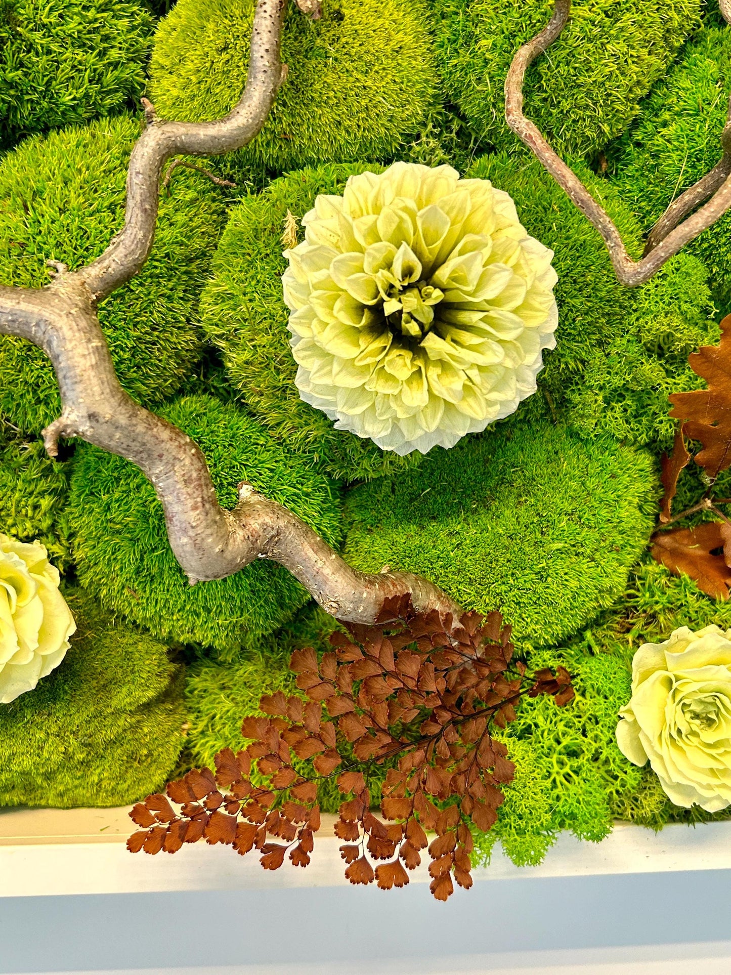 Tableau végétal stabilisé carré “Floraison ivoire”