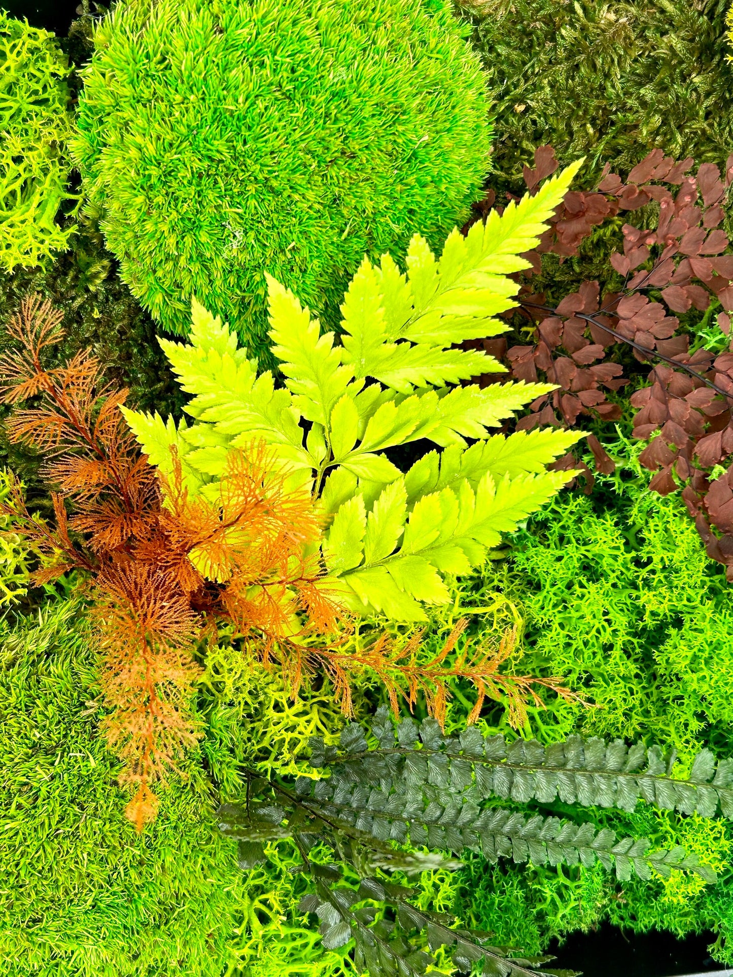 Tableau végétal stabilisé panoramique « Aria »