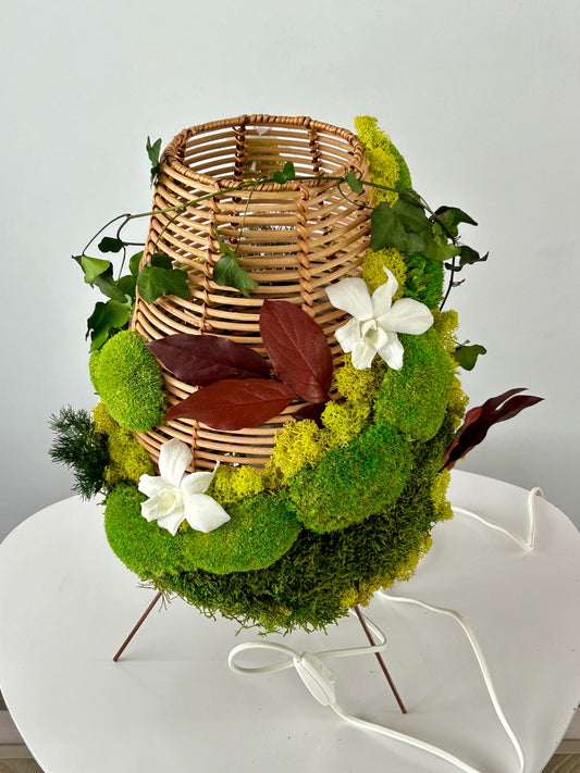 Lampe végétale stabilisée “Isadora”