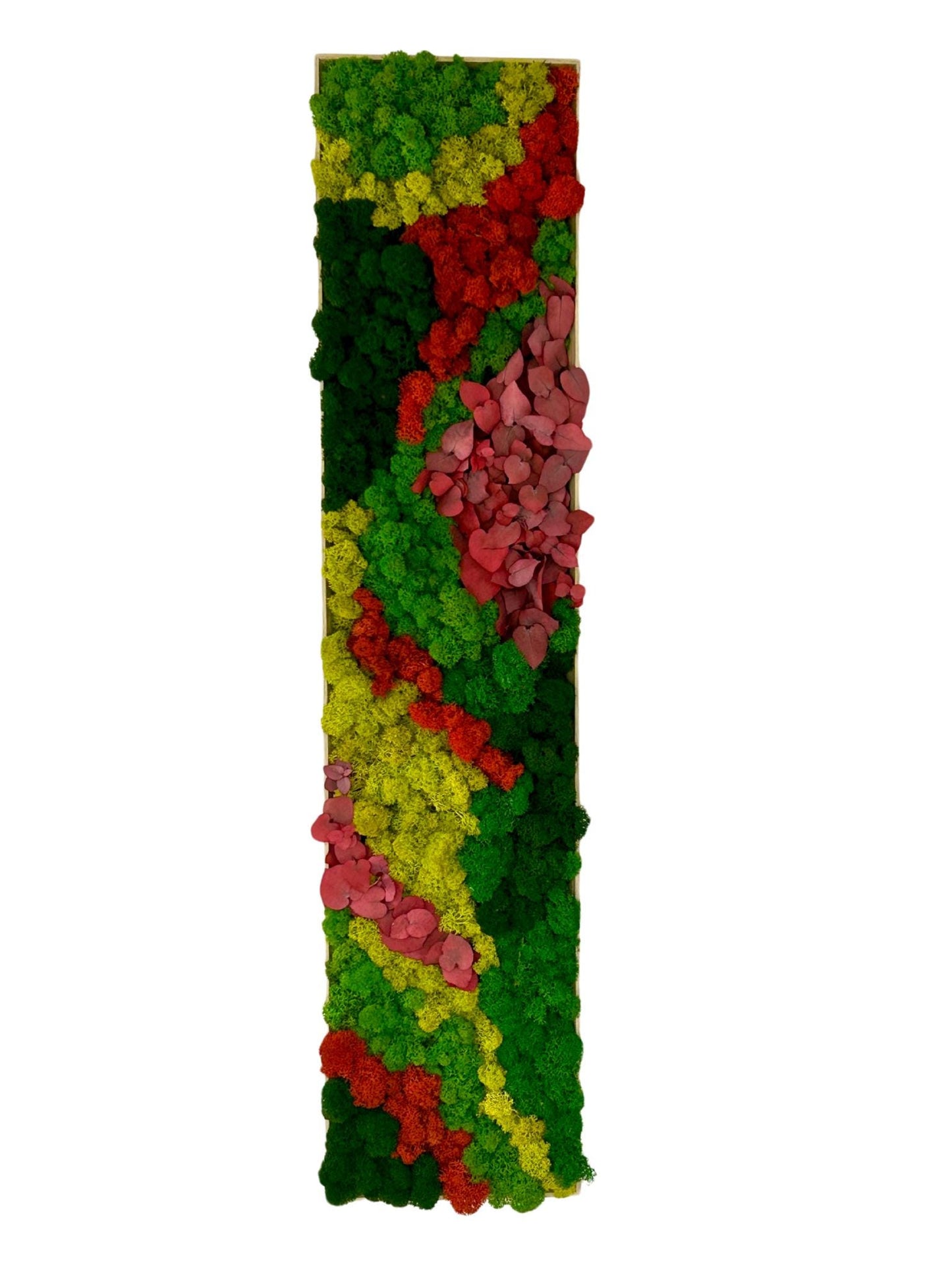 Tableau végétal stabilisé «Coralia»