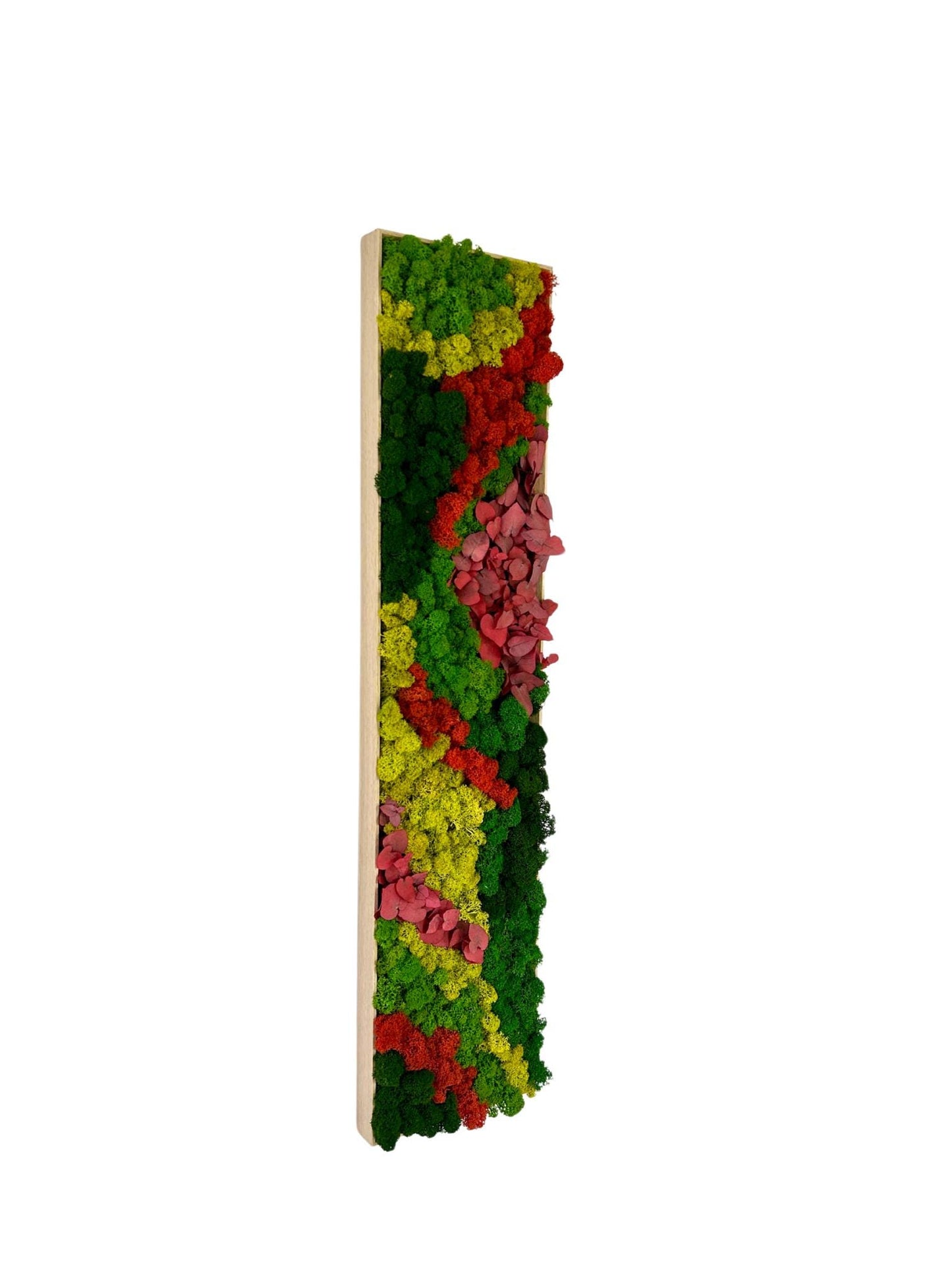 Tableau végétal stabilisé «Coralia»