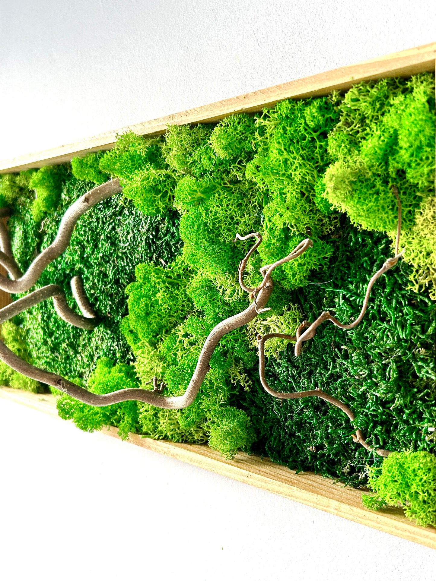 Tableau végétal stabilisé « Sylva »