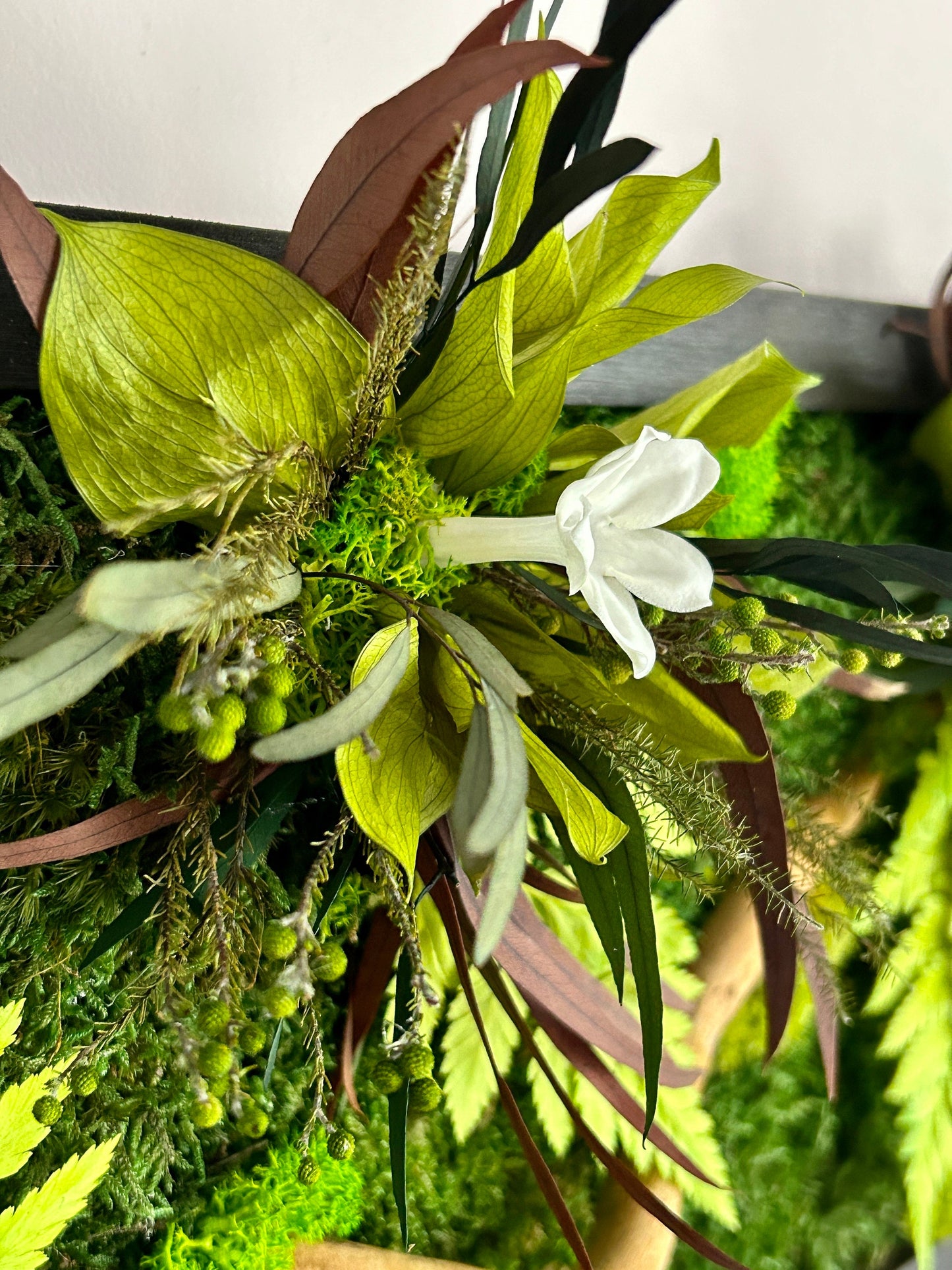 Tableau végétal stabilisé "Jungle"