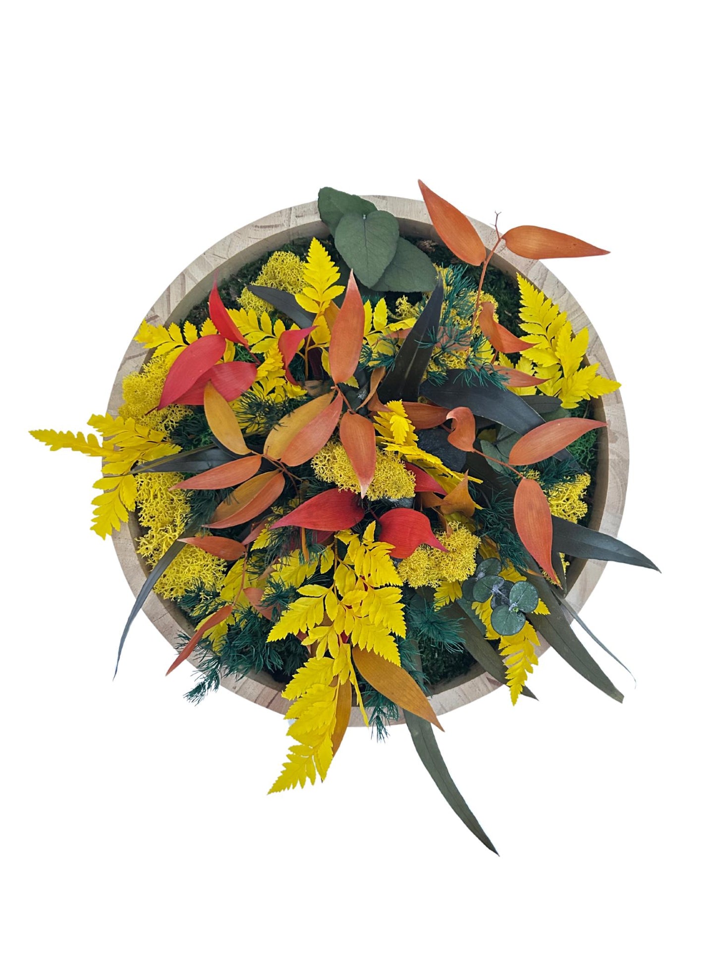 Duo de cadres végétaux stabilisés « Solana »