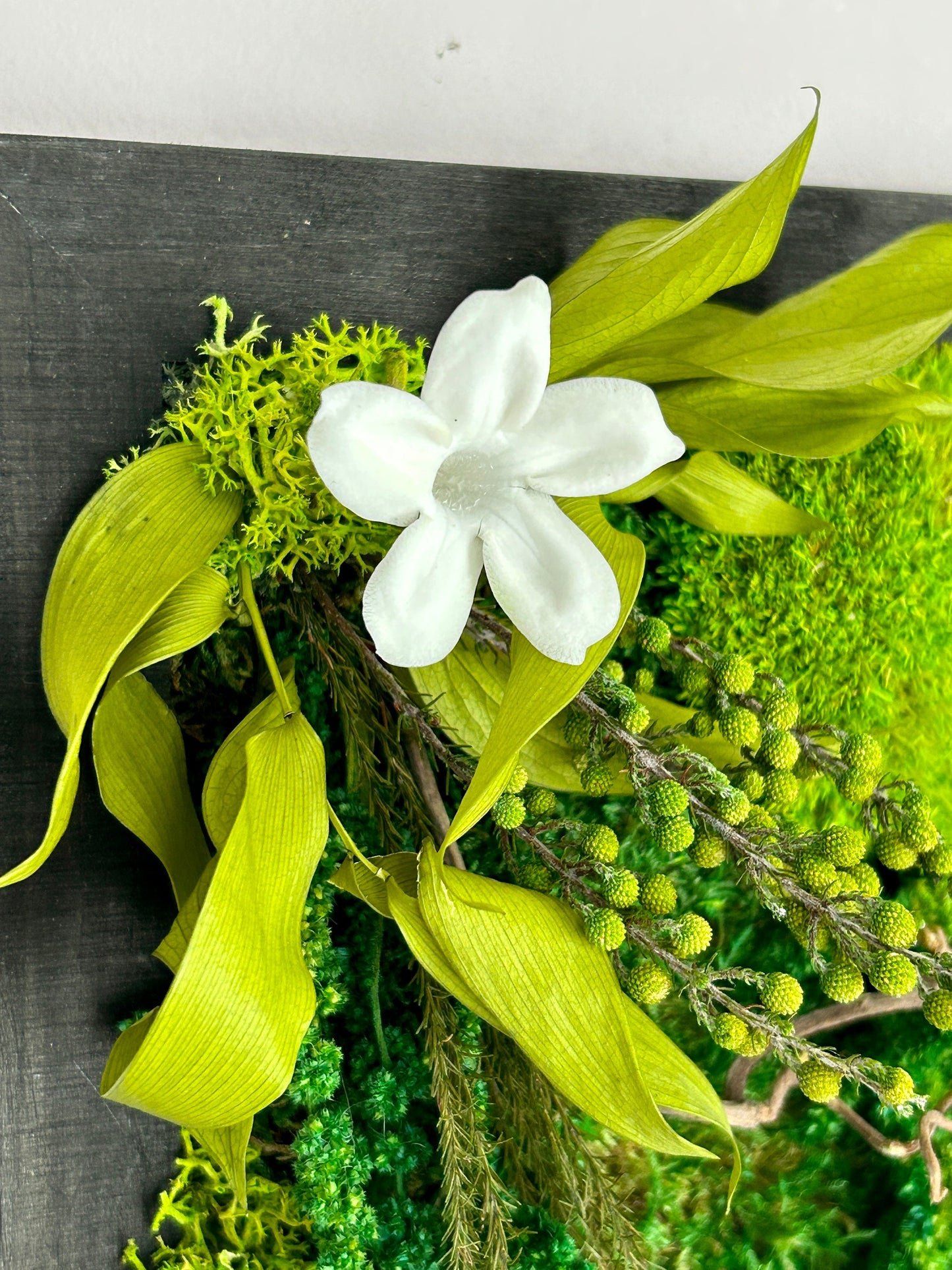 Tableau végétal stabilisé "Jasmin"
