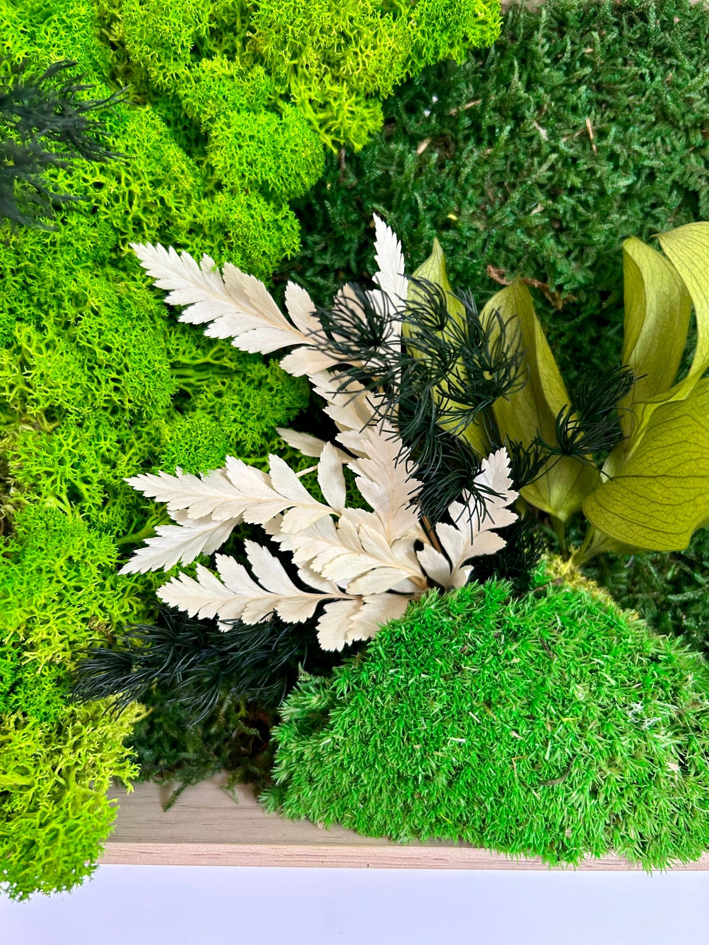 Tableau végétal stabilisé “Sylve”