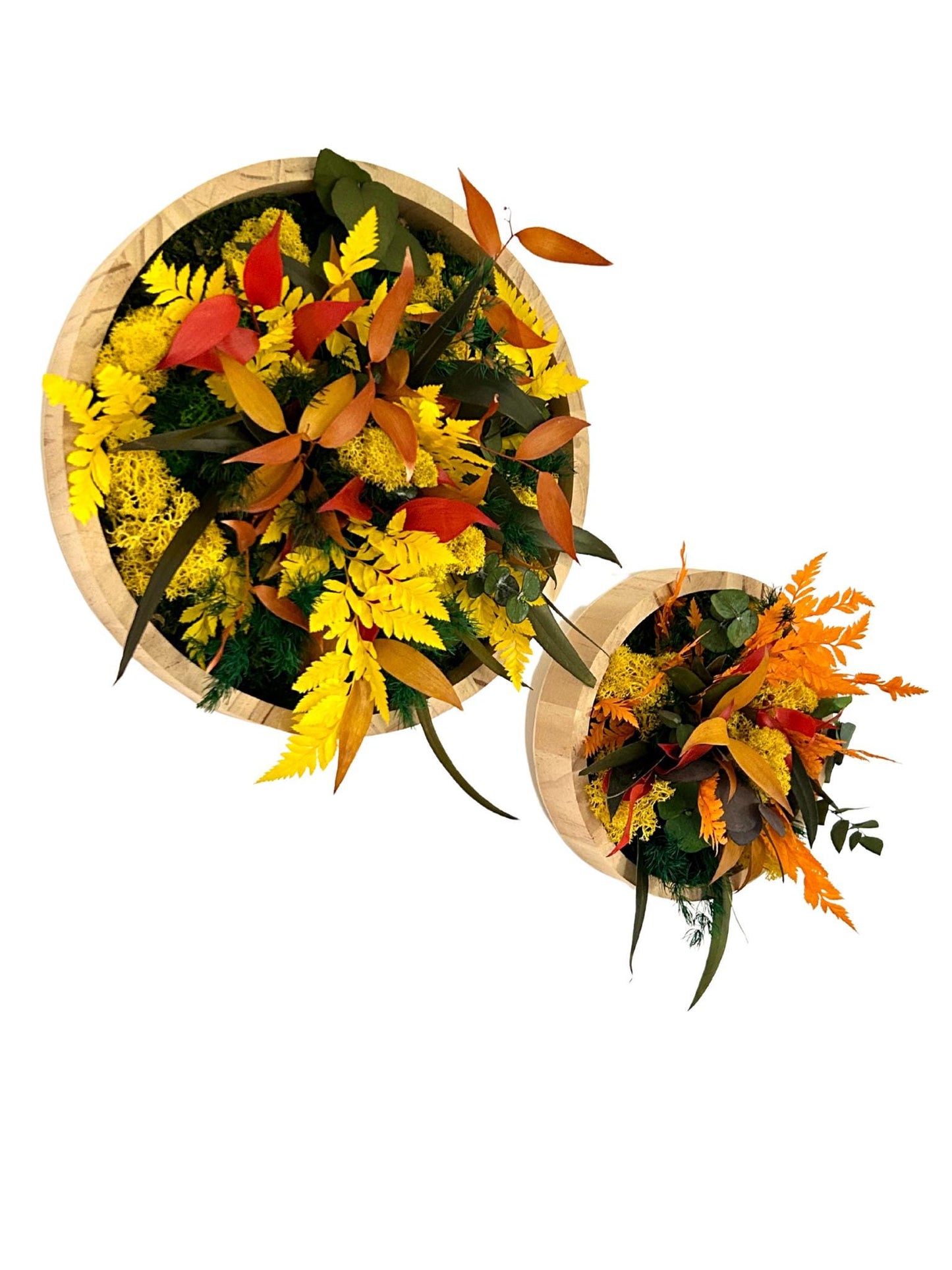 Duo de cadres végétaux stabilisés « Solana »