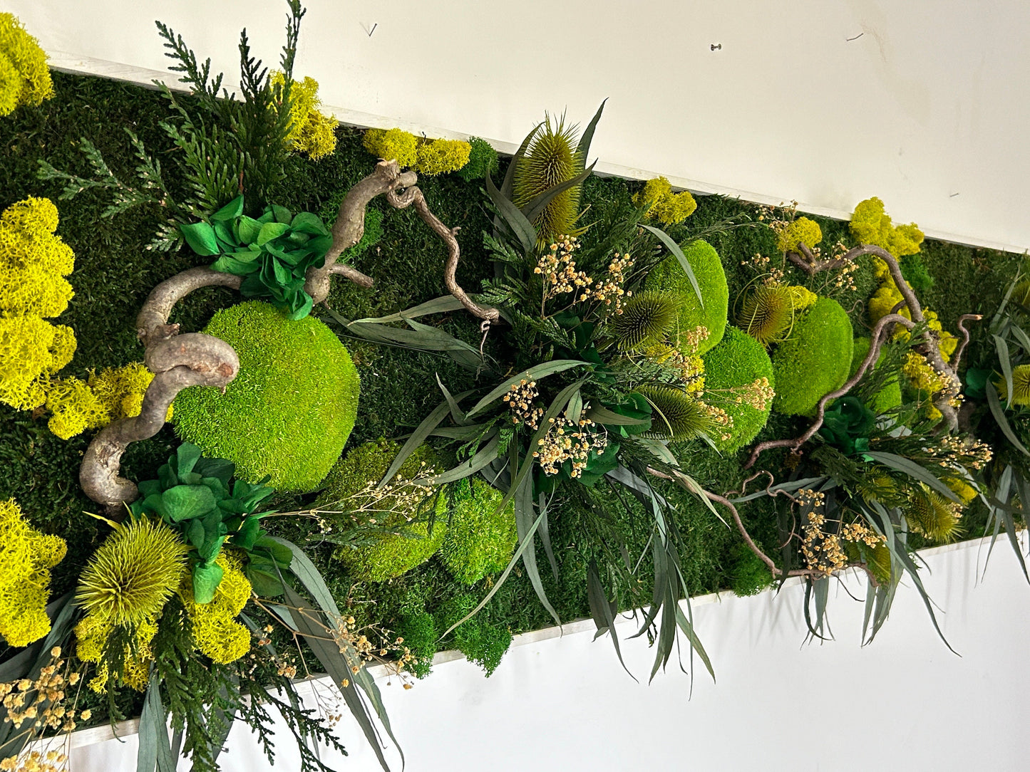 Panneau végétal stabilisé panoramique “Horizon”