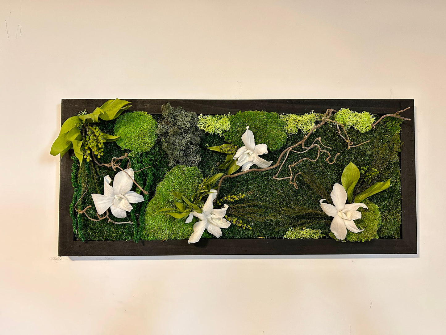 Tableau végétal stabilisé “Cattleya”