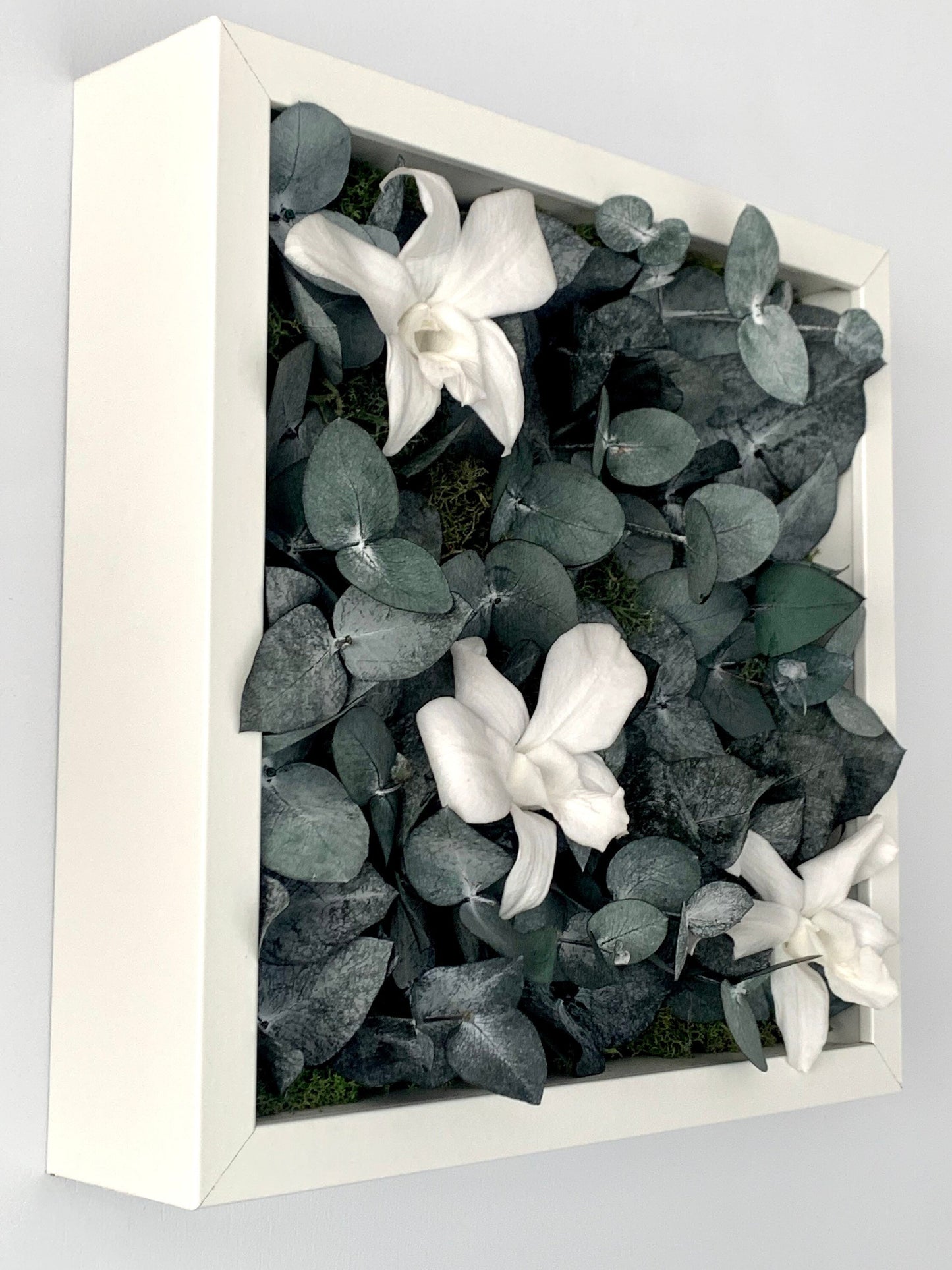 Tableau végétal stabilisé “Lysandra”