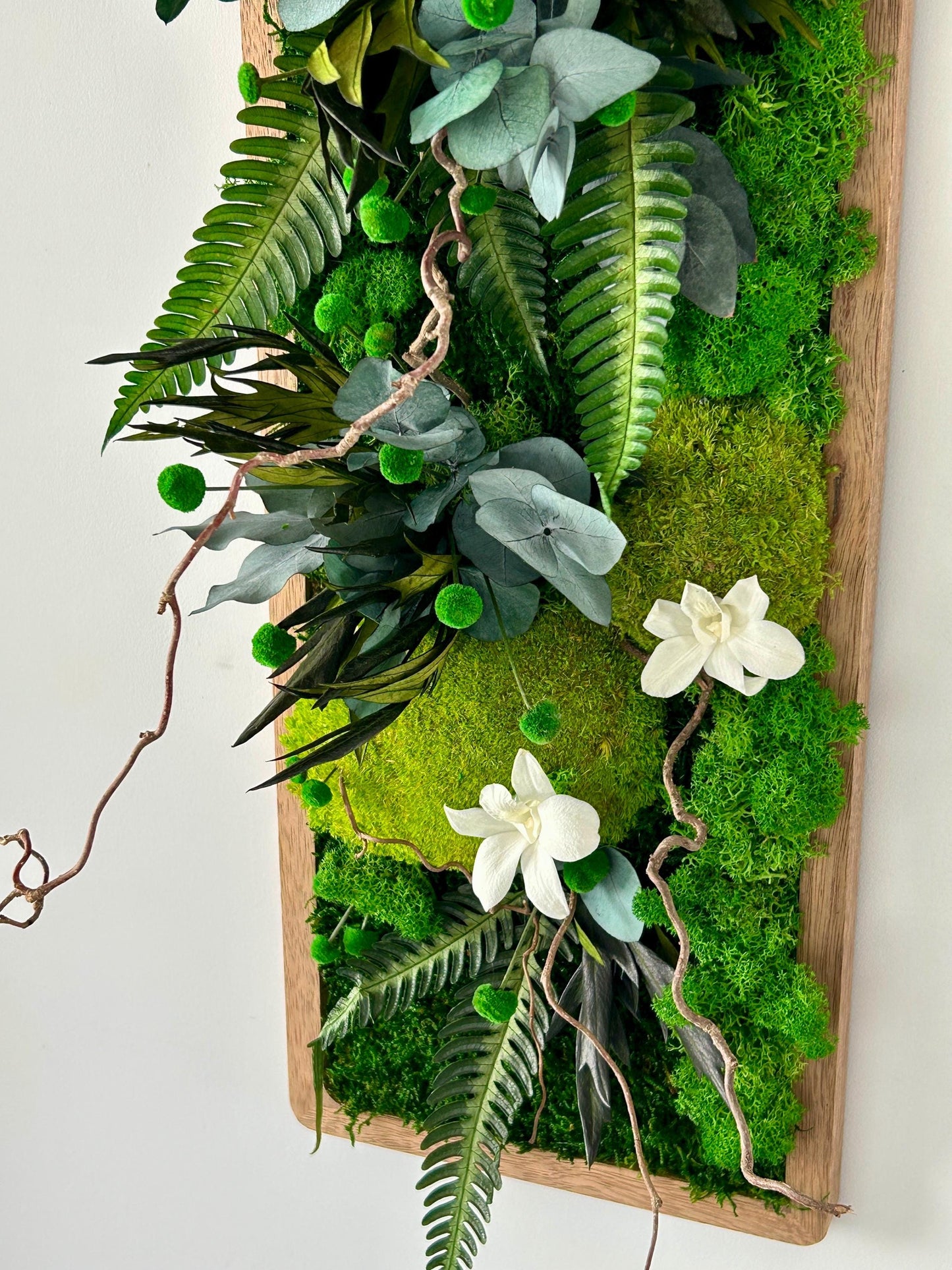 Tableau végétal stabilisé “Calista”