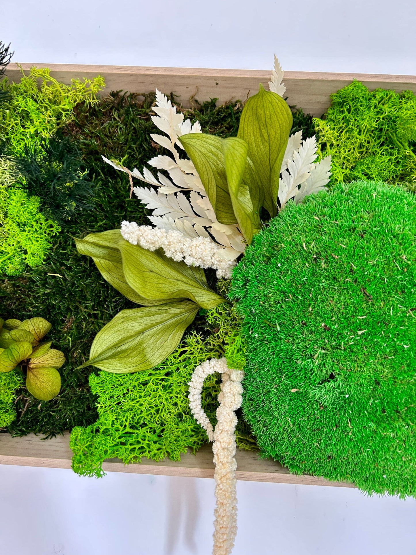 Tableau végétal stabilisé “Sylve”