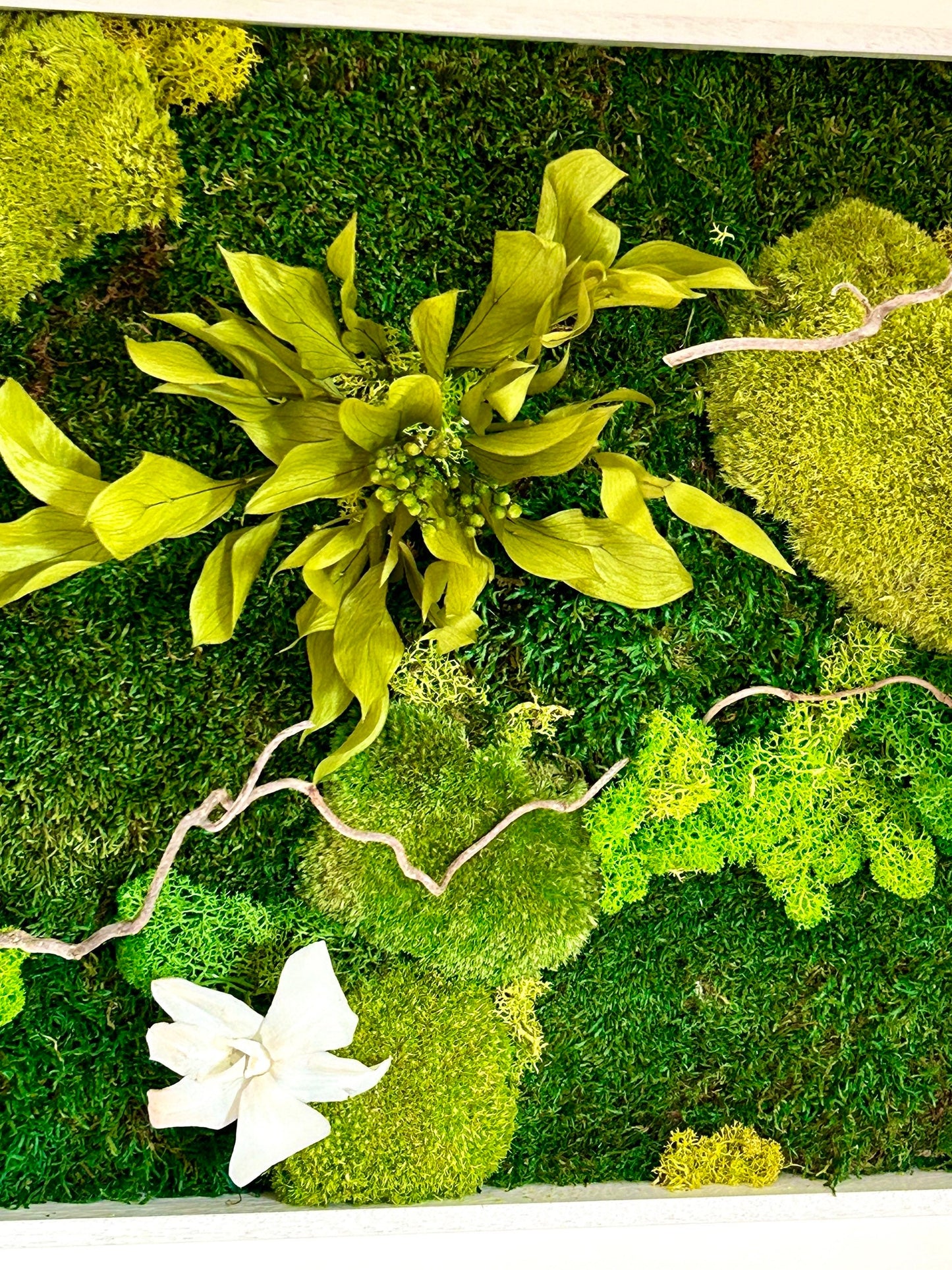 Panneau végétal stabilisé «Eden» avec orchidées blanches