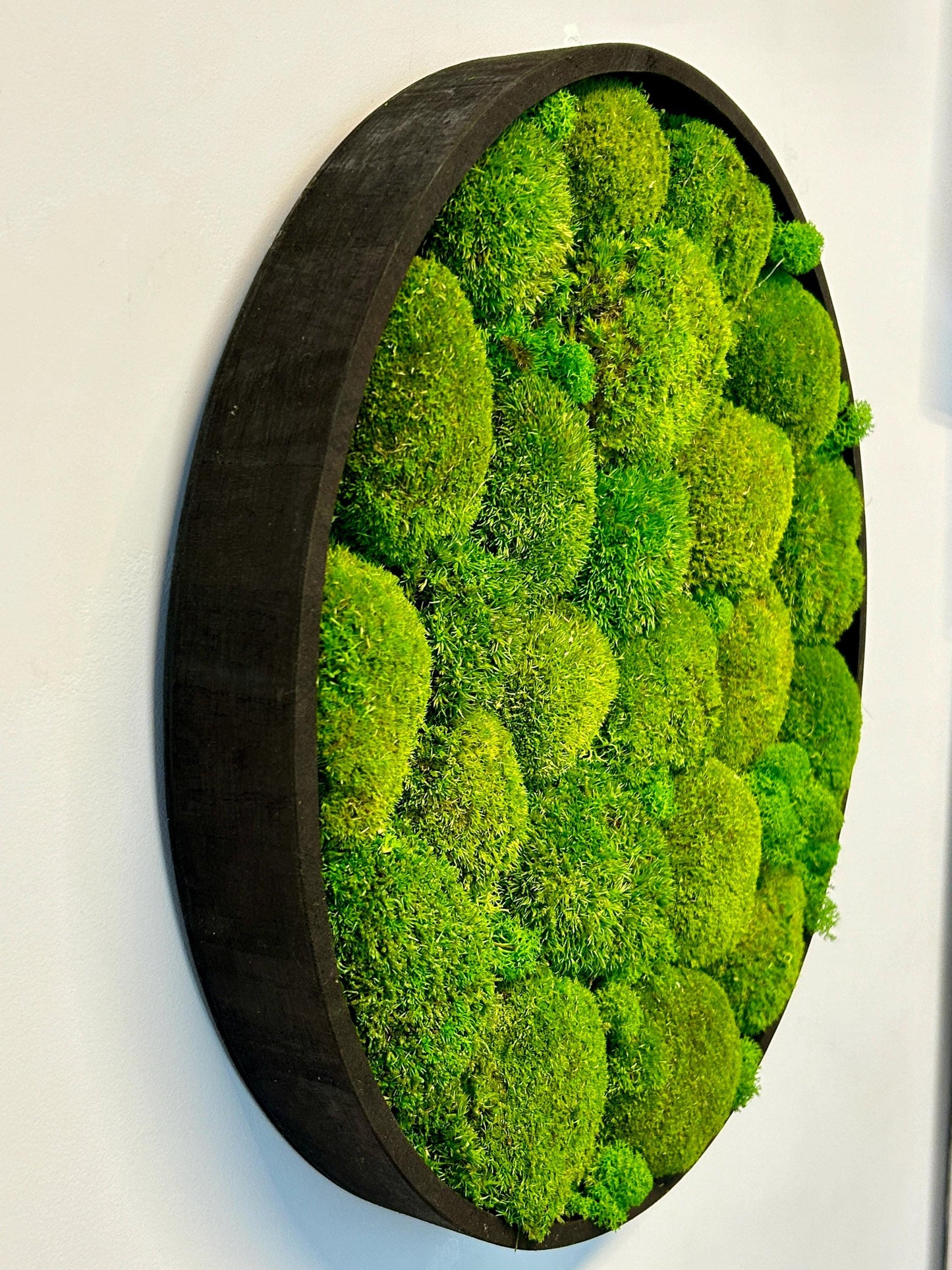 Tableau végétal stabilisé “Oasis”