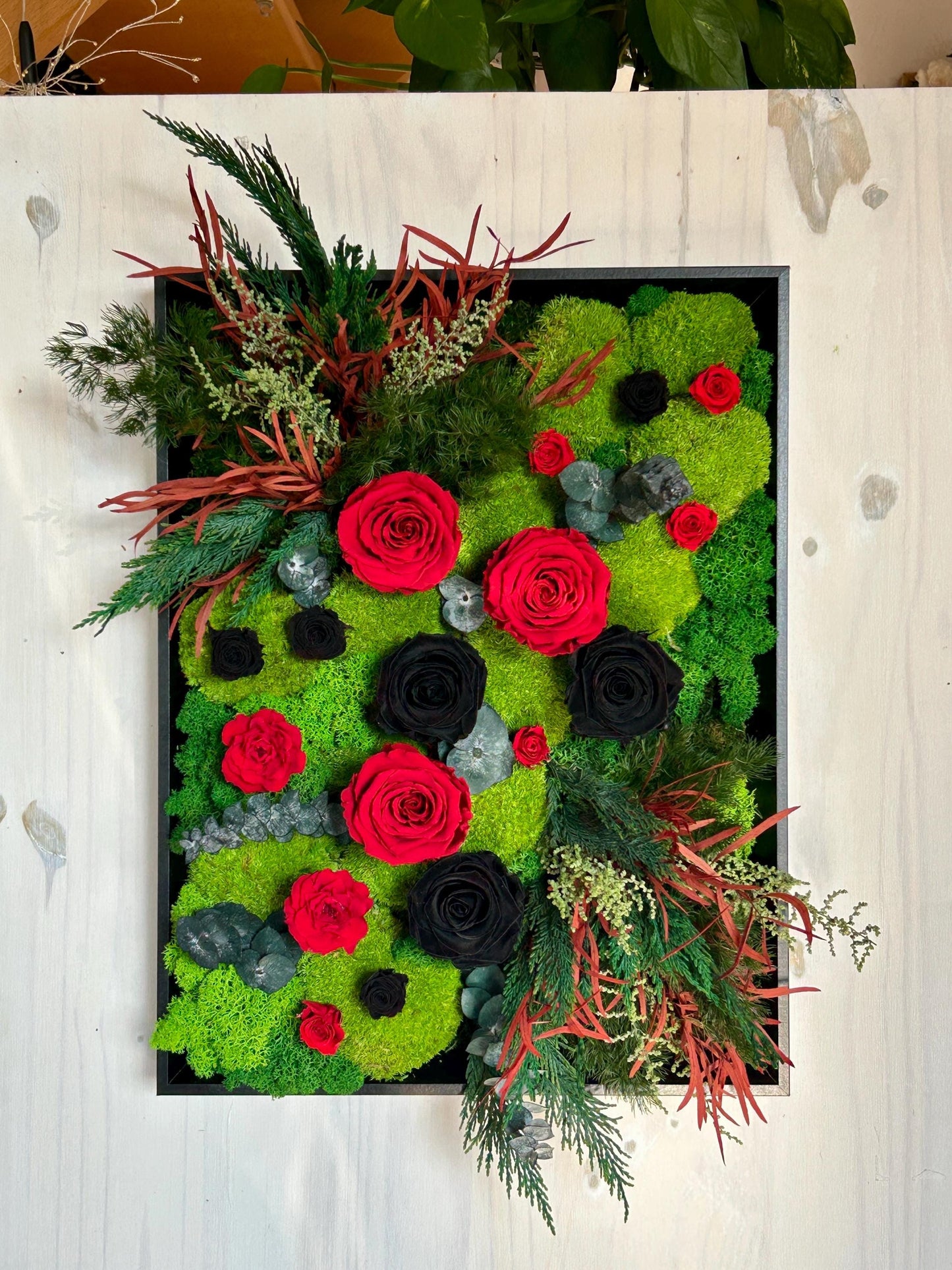 Tableau végétal stabilisé "Esméralda"