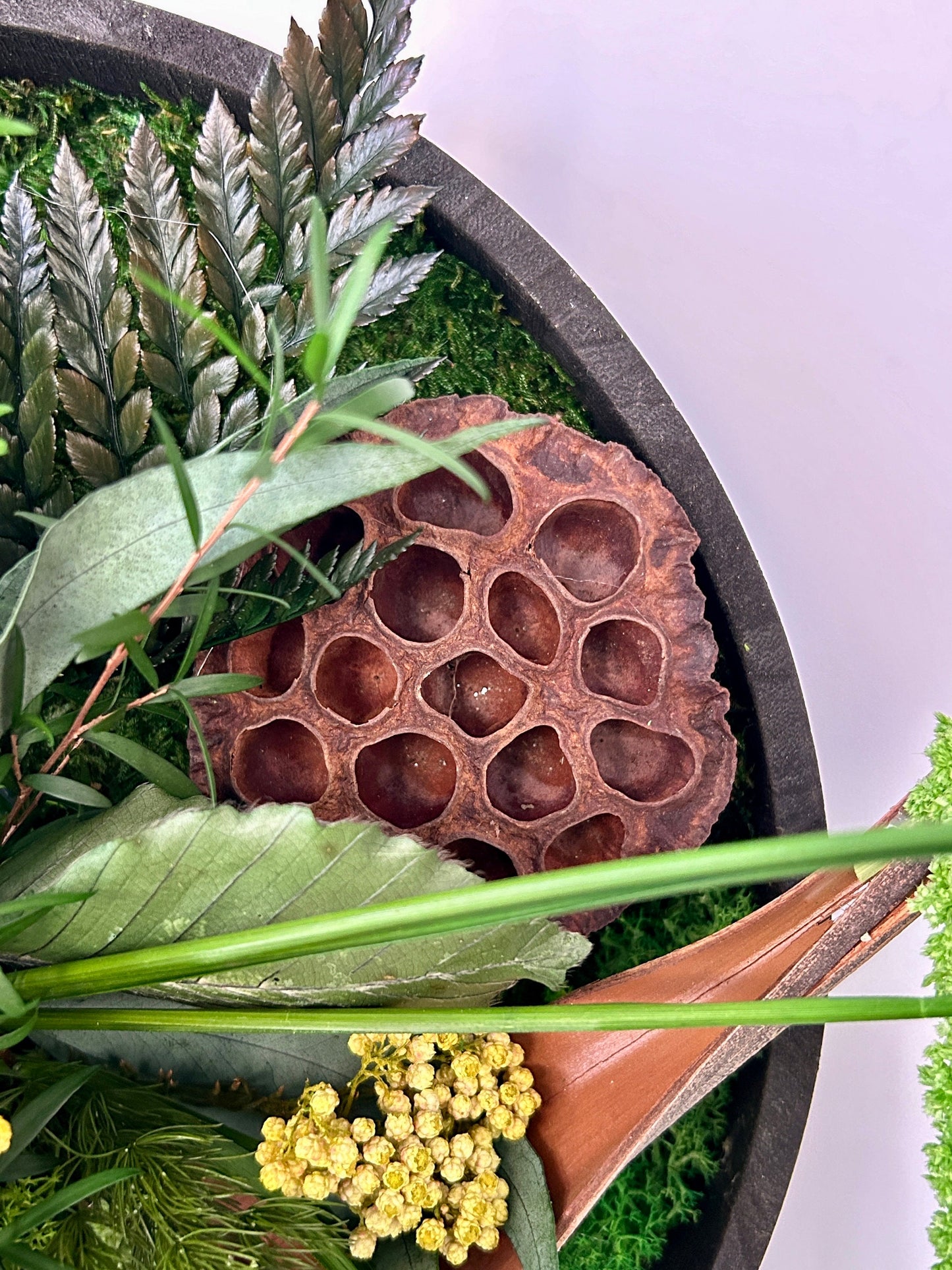 Cadre végétal stabilisé “Exotique”