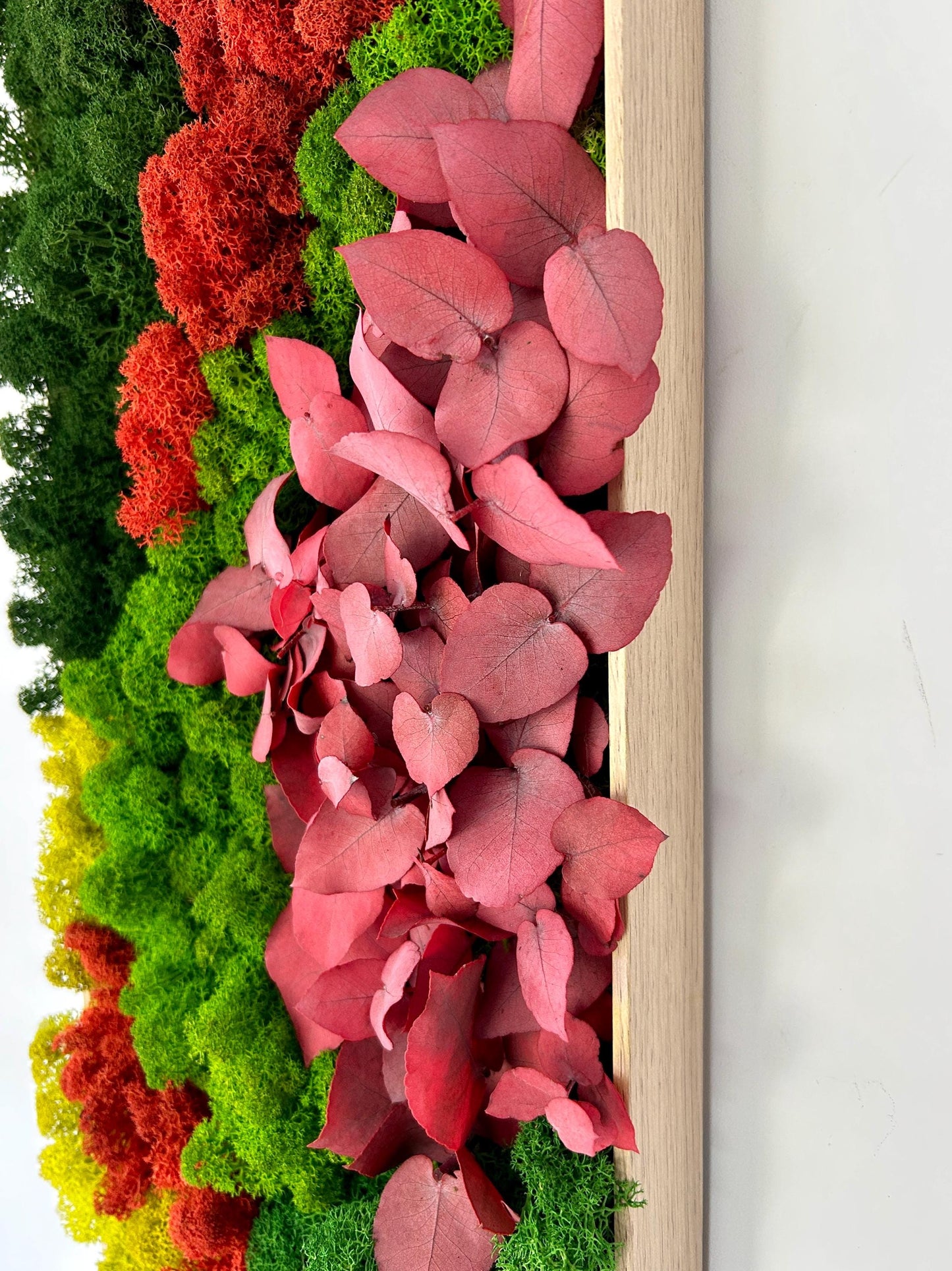 Tableau végétal stabilisé «Coralia»