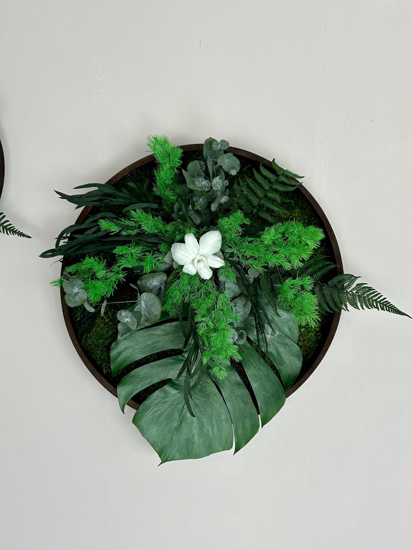 Duo végétal stabilisé “Selena”