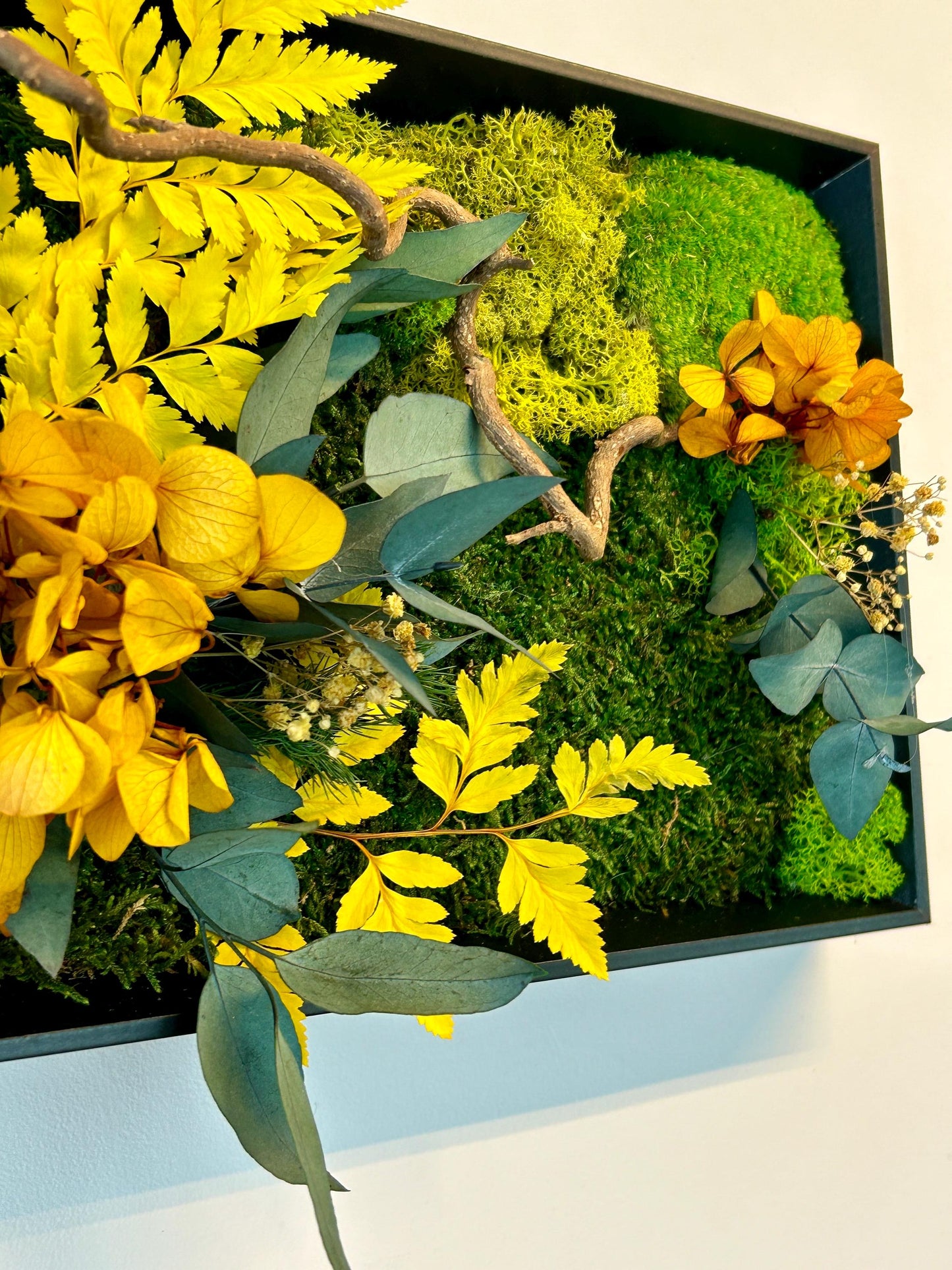 Tableau végétal stabilisé “Éclat Solaire”