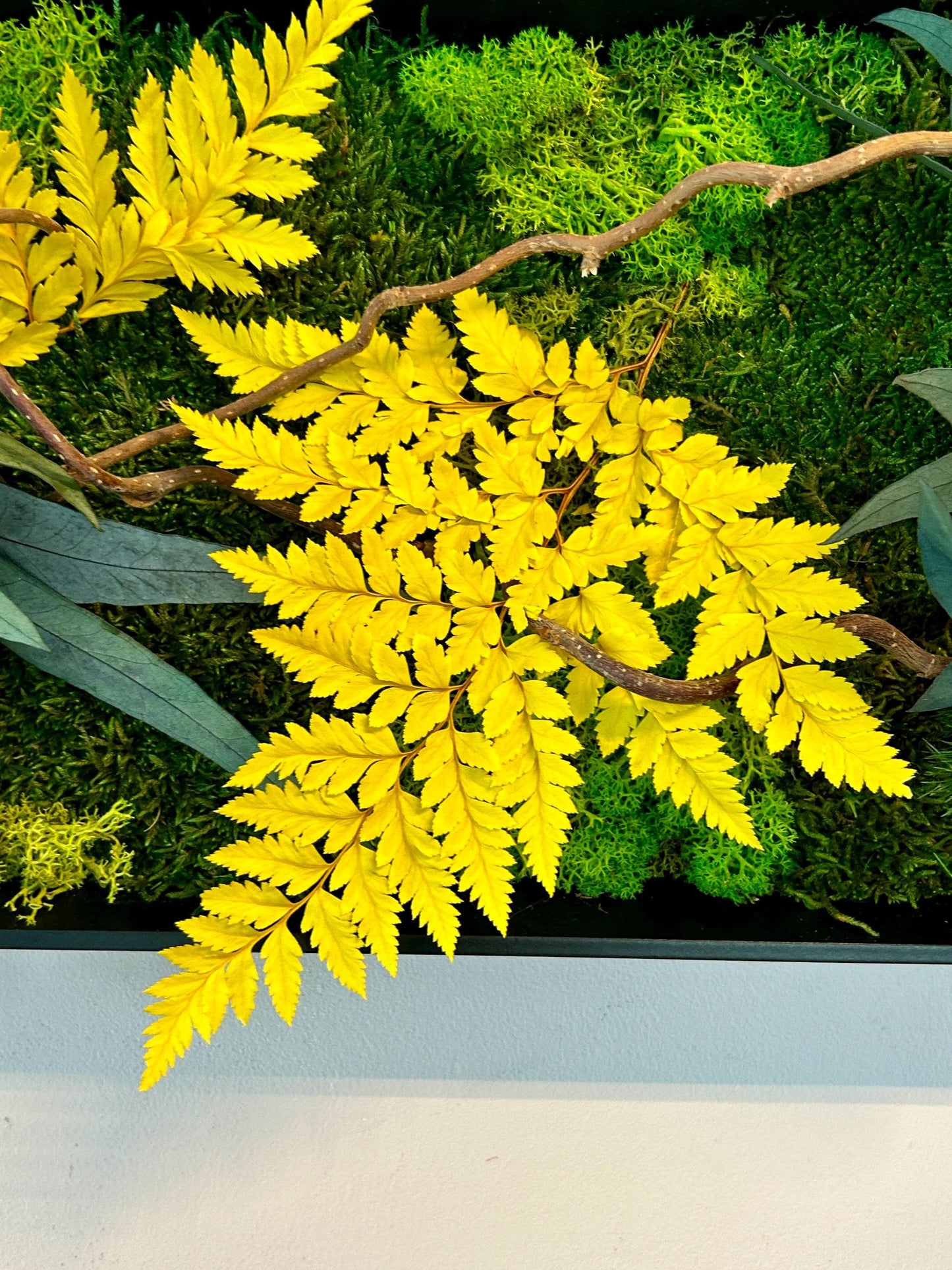 Tableau végétal stabilisé “Éclat Solaire”