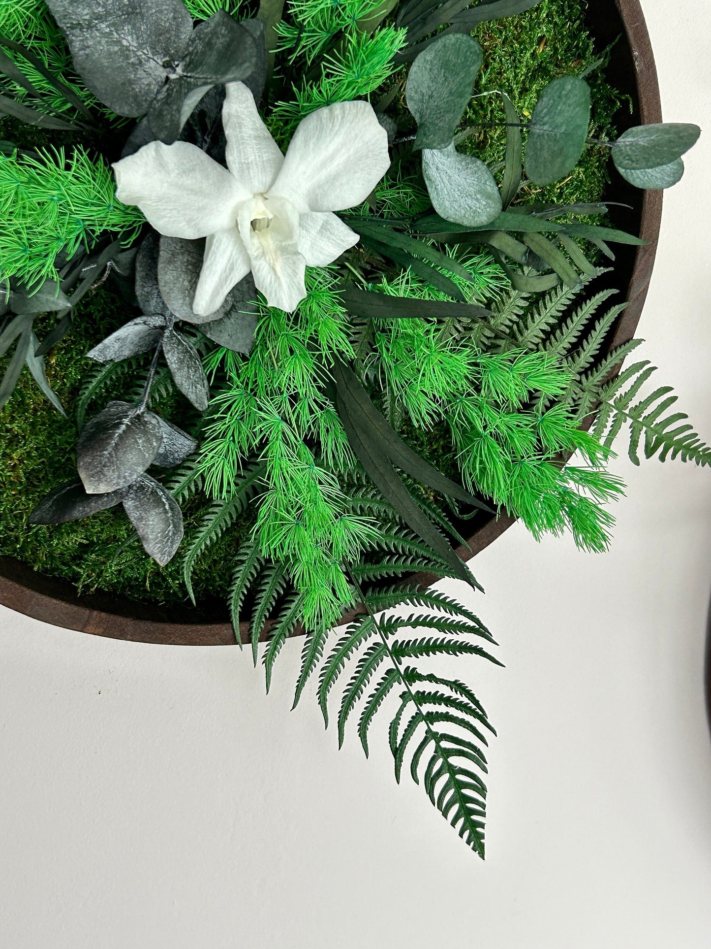 Duo végétal stabilisé “Selena”