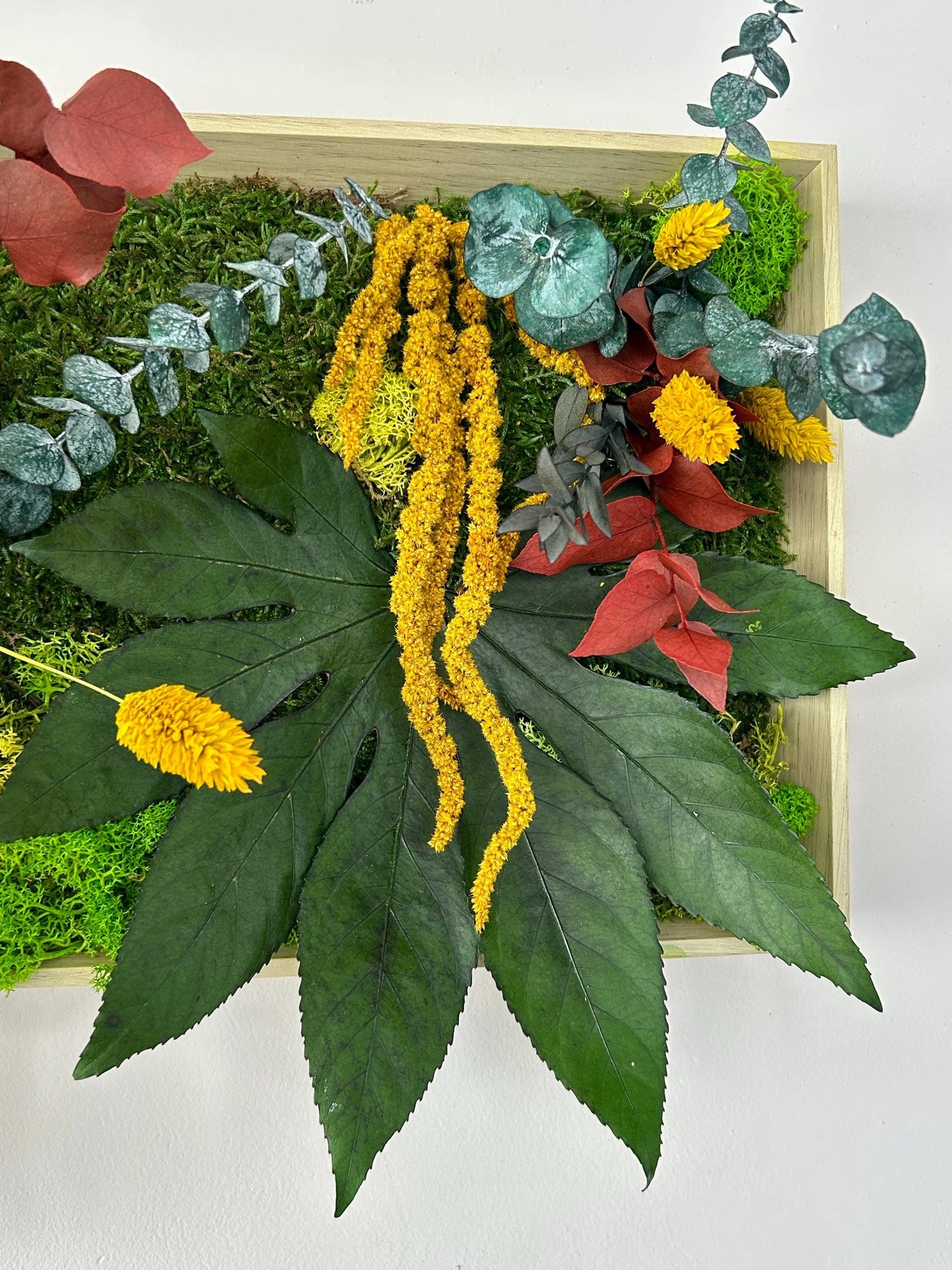 Tableau végétal panoramique “Jardin Tropical”
