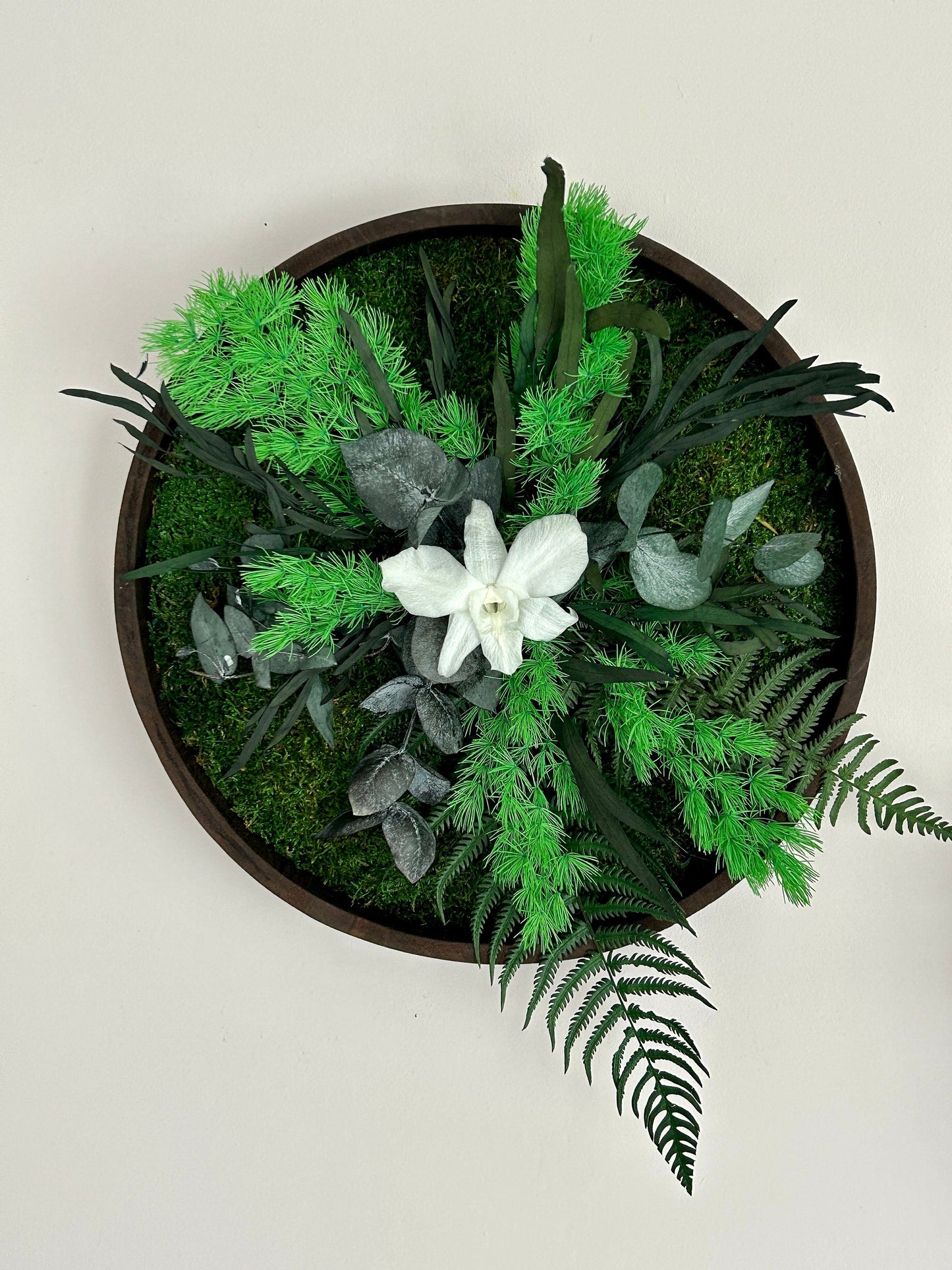 Duo végétal stabilisé “Selena”